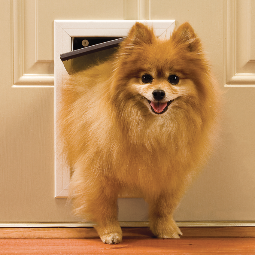 PetSafe Freedom Pet Door - PetSafe