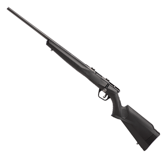 Savage Arms B17 F BoltAction Rimfire Rifle