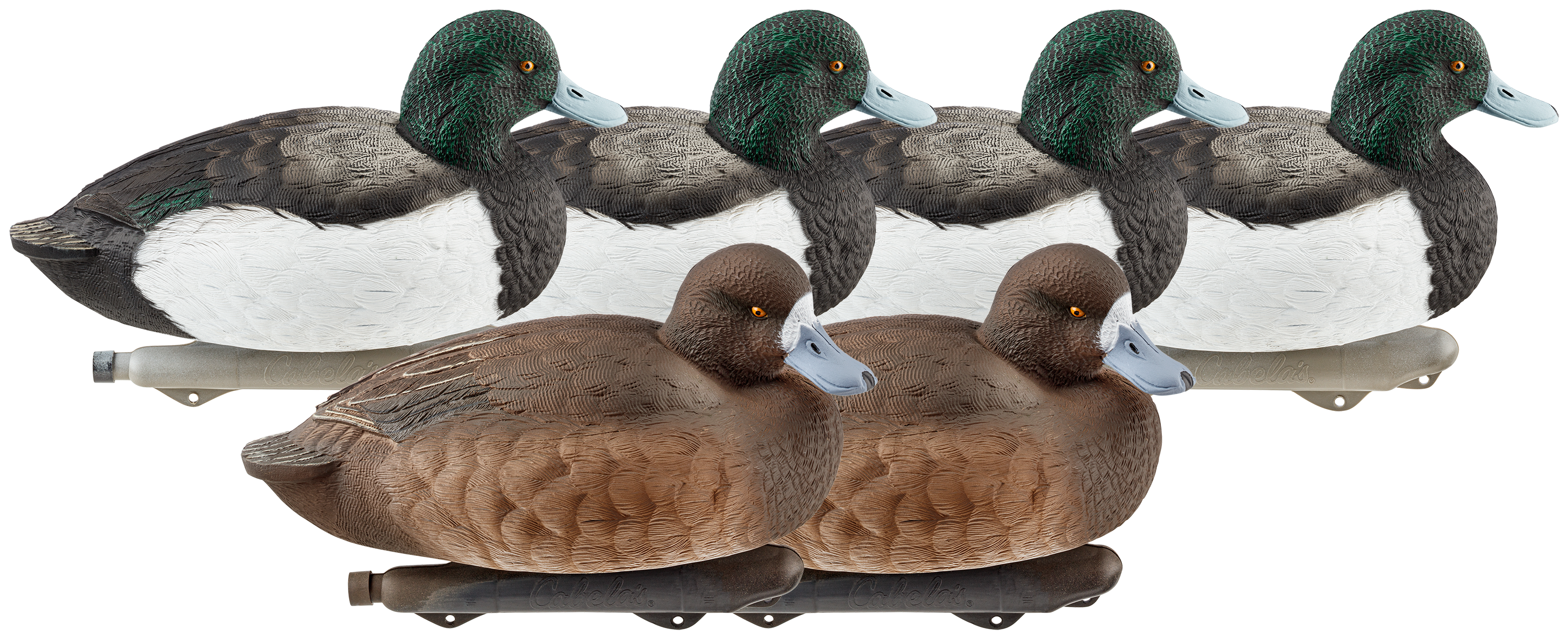 Northern Flight Bluebill Duck Decoys