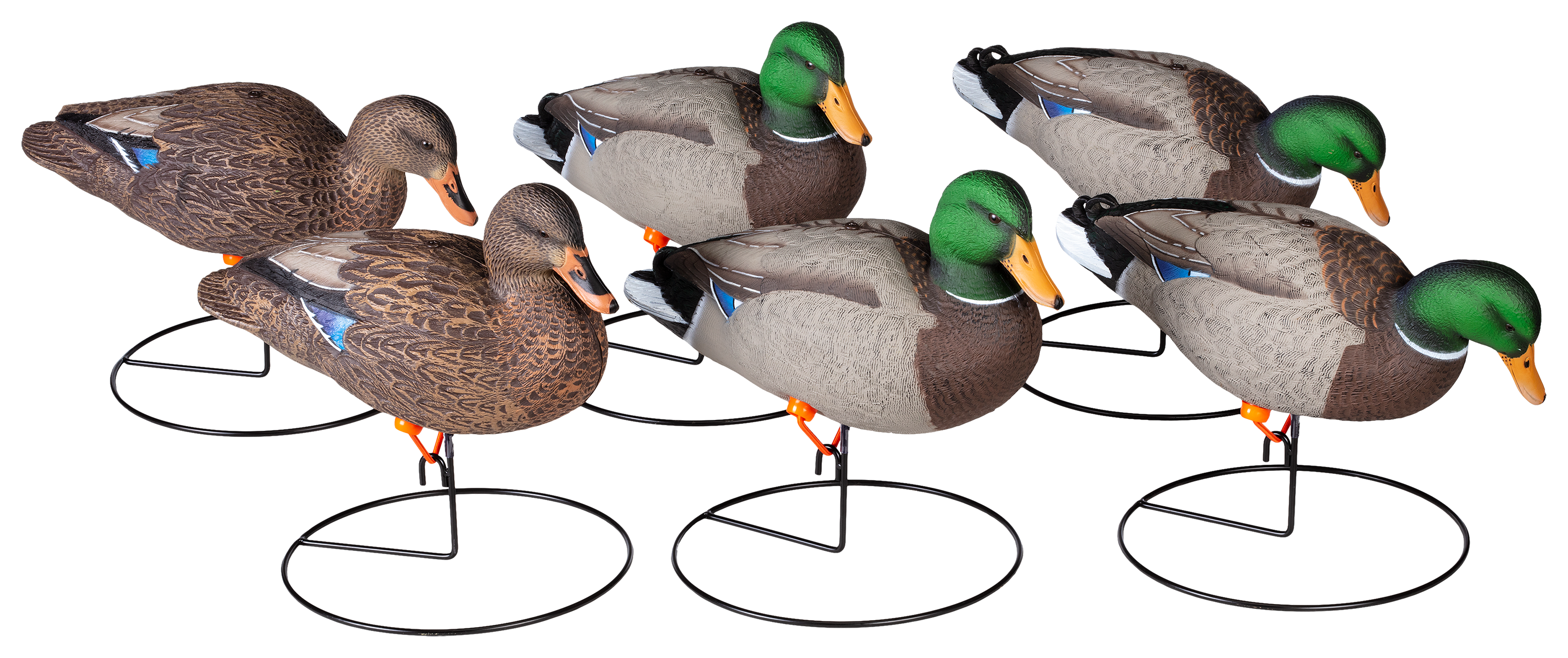 Northern Flight Full Body Mallard II Duck Decoys - Northern Flight