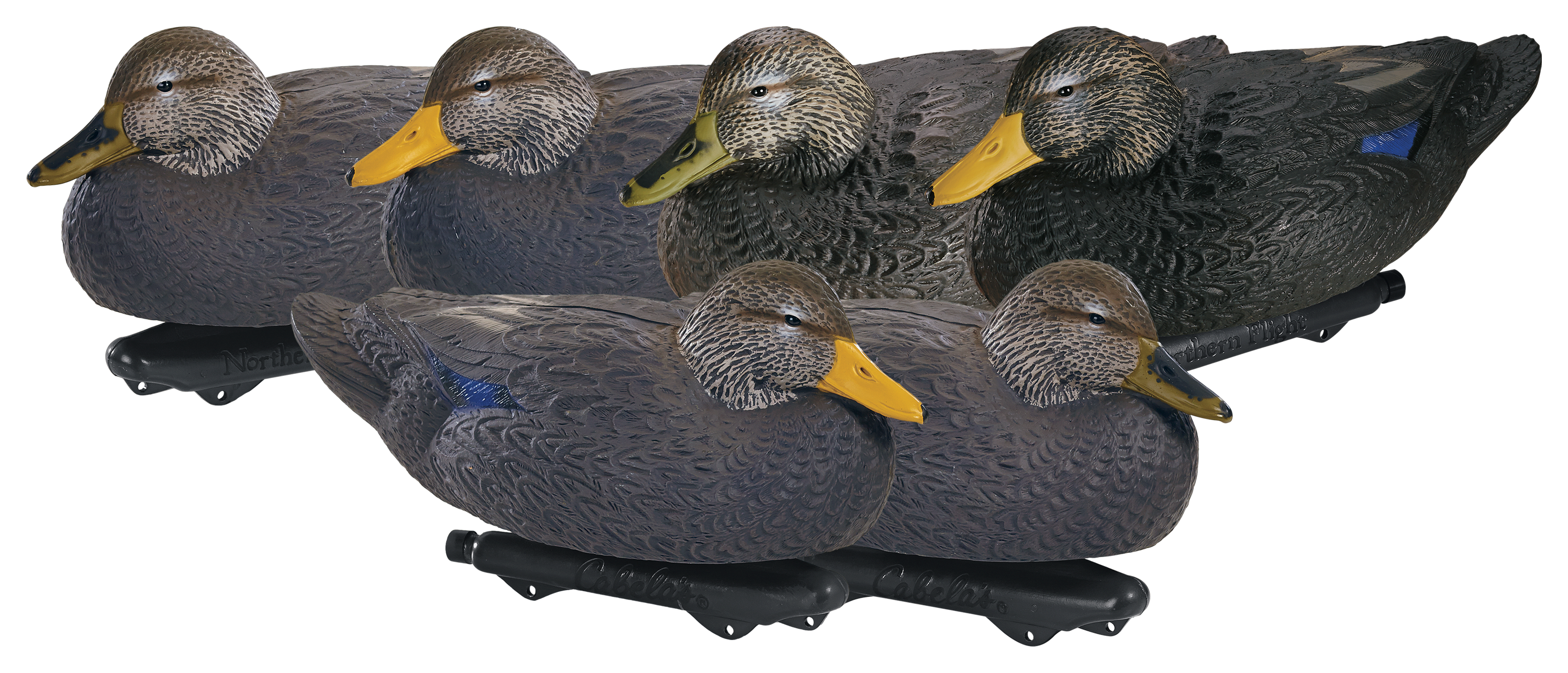 Northern Flight Black Duck Decoys - Northern Flight