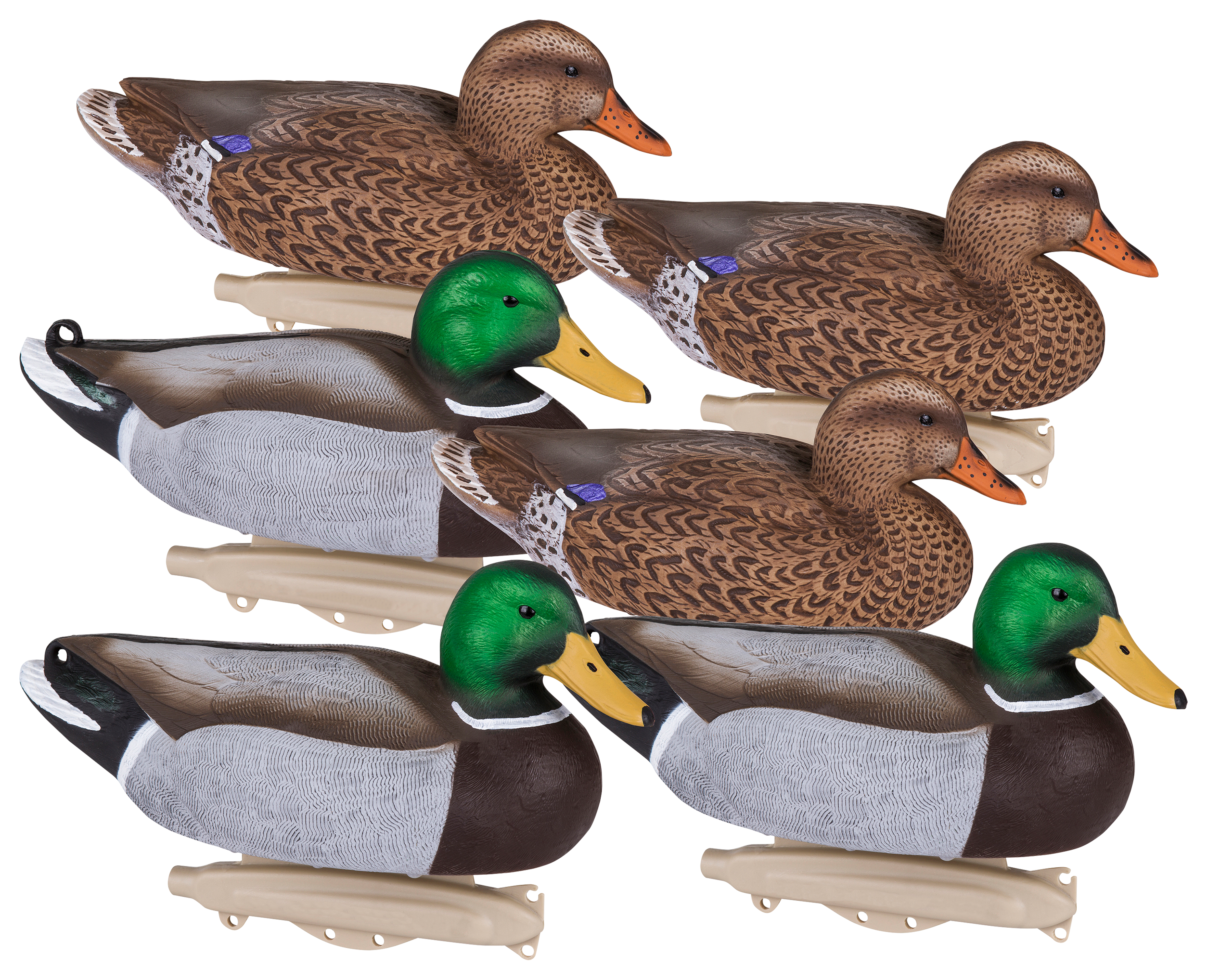 Flambeau Storm Front2 Classic Floater Mallard Duck Decoys - 6 Pack