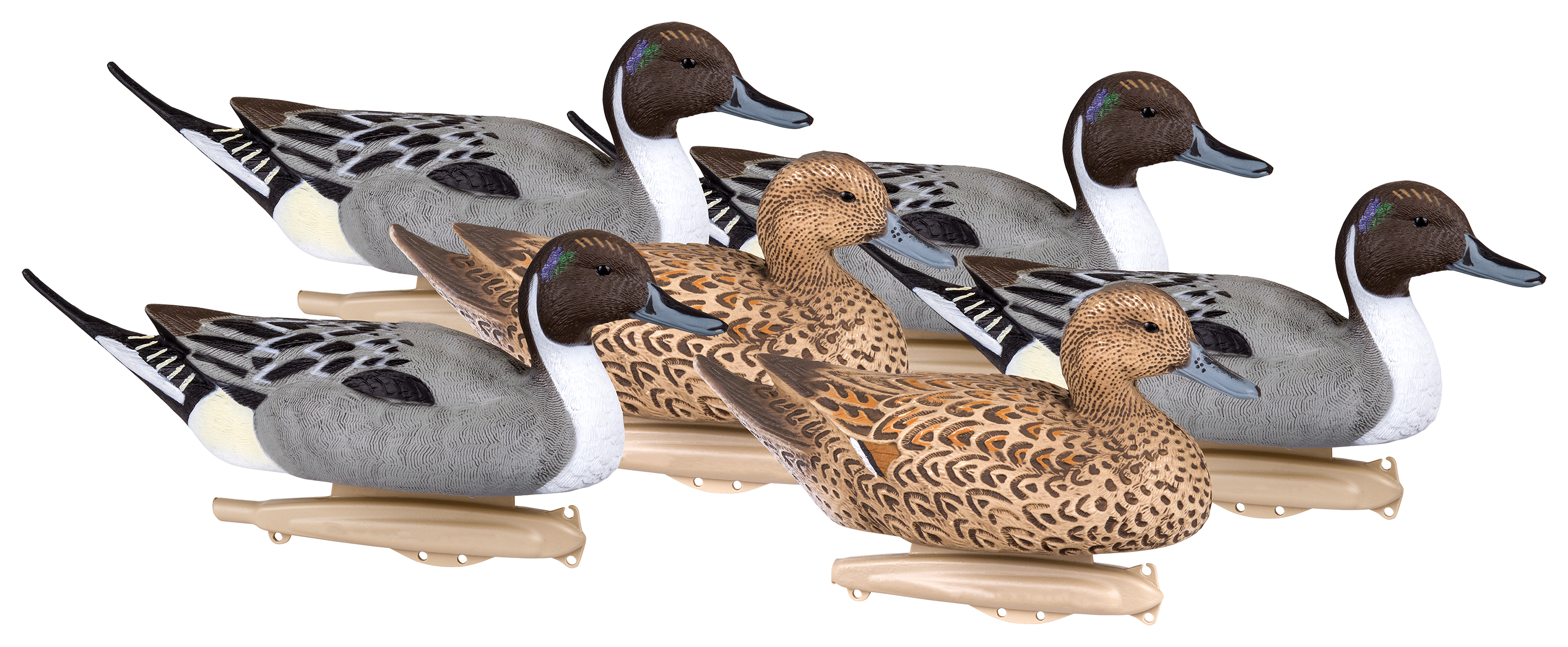 Flambeau Storm Front2 Classic Floater Pintail Duck Decoys