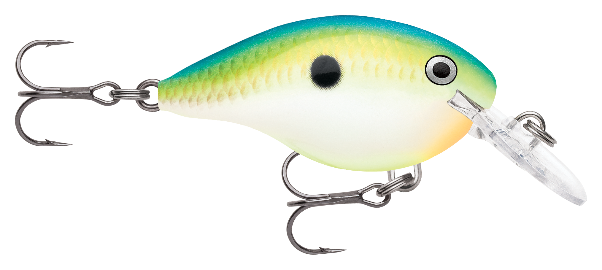 Image of Rapala DT Dives-To Series Crankbait - Citrus Shad - 2″ - 5/16 oz. - 4'