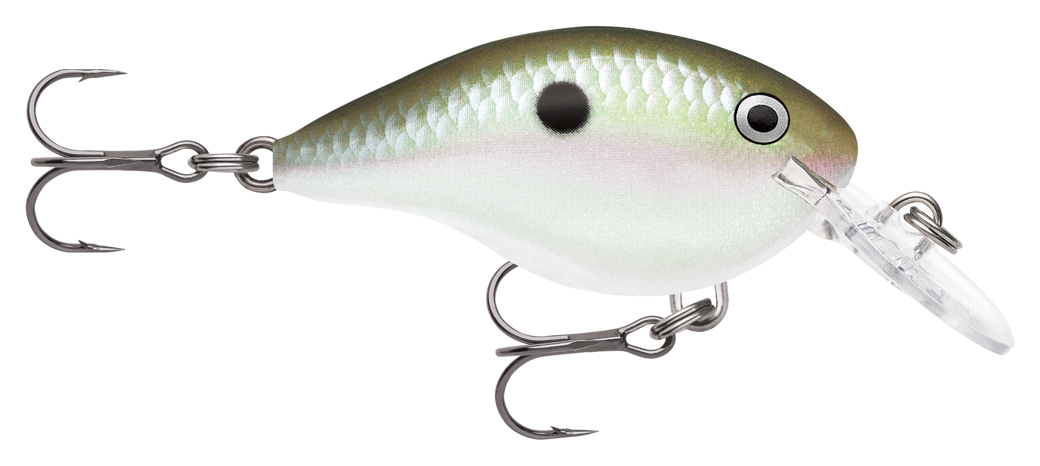 Image of Rapala DT Dives-To Series Crankbait - Green Gizzard Shad - 2″ - 5/16 oz. - 4'