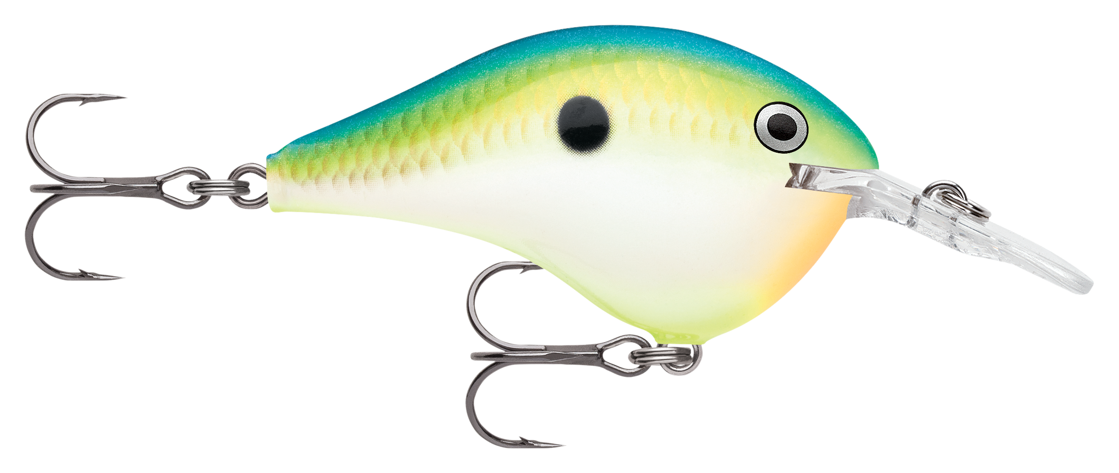 Image of Rapala DT Dives-To Series Crankbait - Citrus Shad - 2″ - 3/8 oz. - 6'