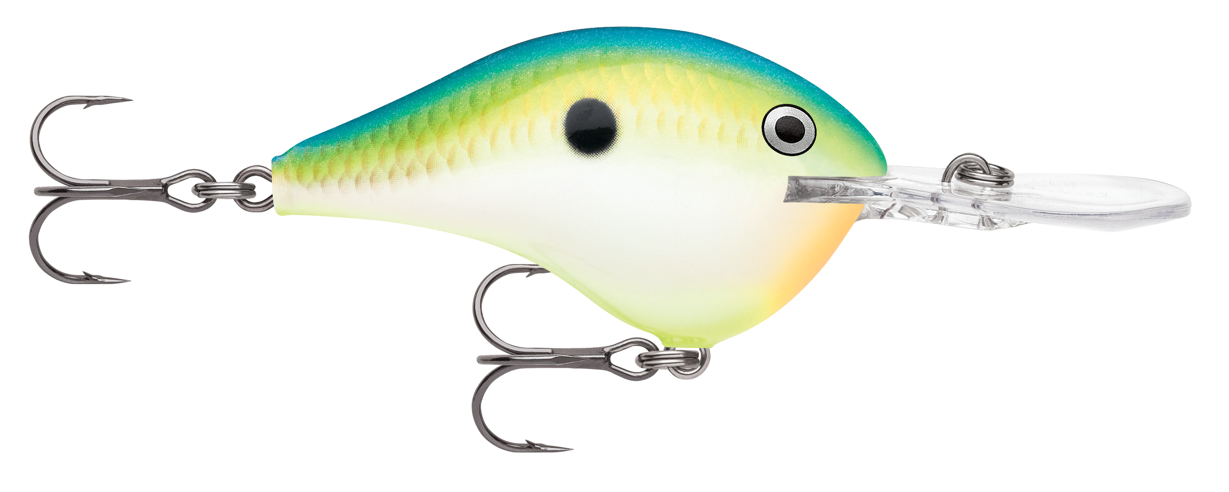 Image of Rapala DT Dives-To Series Crankbait - Citrus Shad - 2-1/4″ - 3/5 oz. - 10'