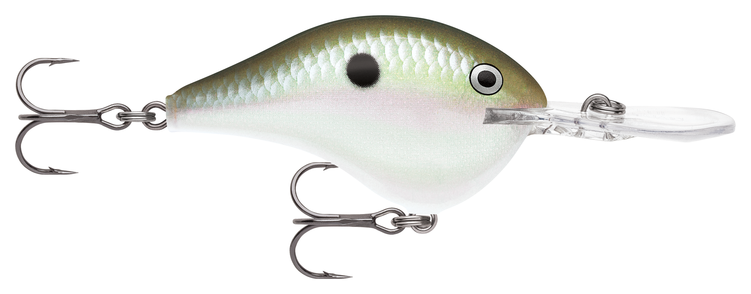 Image of Rapala DT Dives-To Series Crankbait - Green Gizzard Shad - 2-3/4″ - 3/4 oz. - 14'