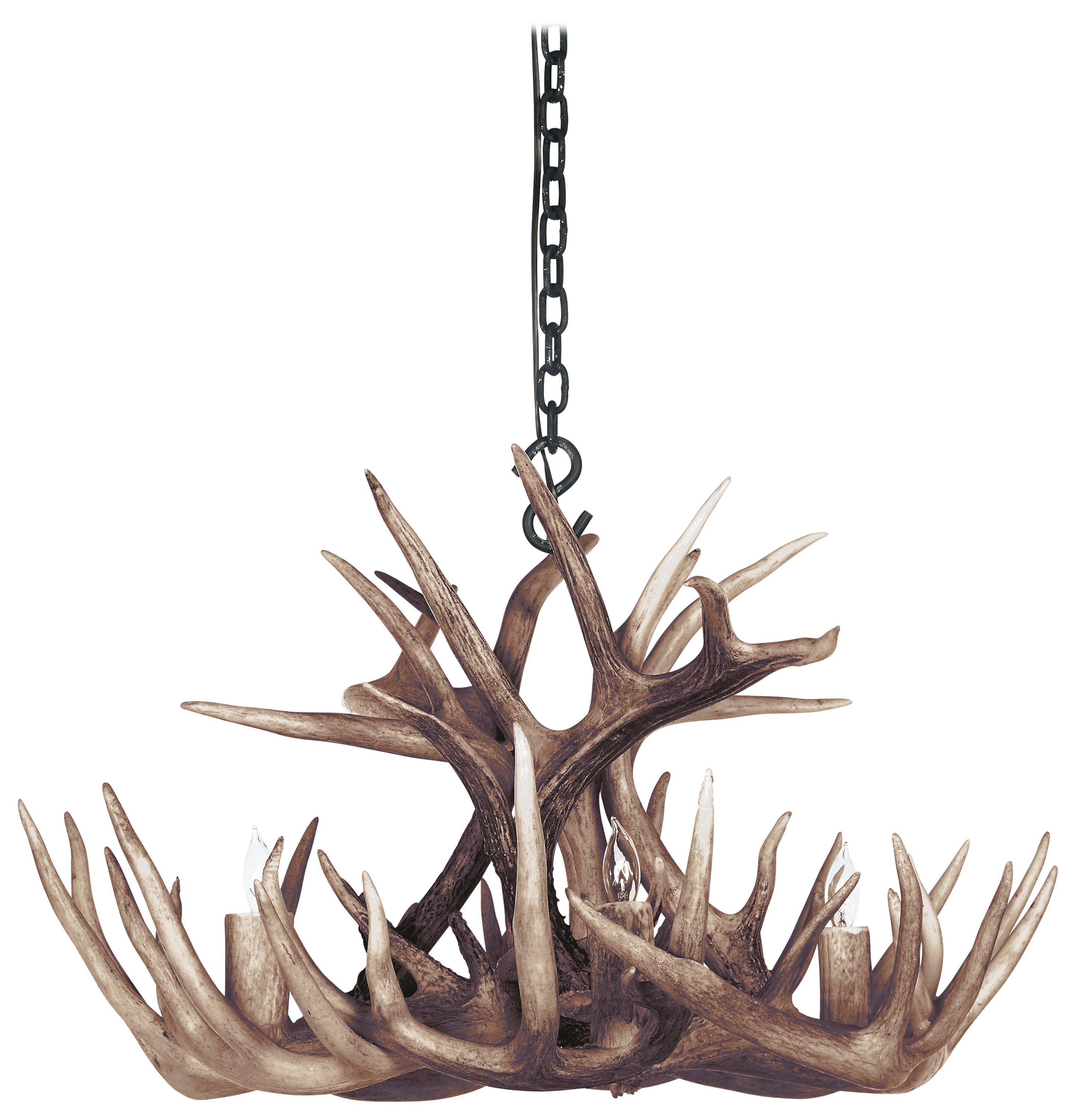 Antlerworx Whitetail Antler 4-Light Chandelier - Natural Brown