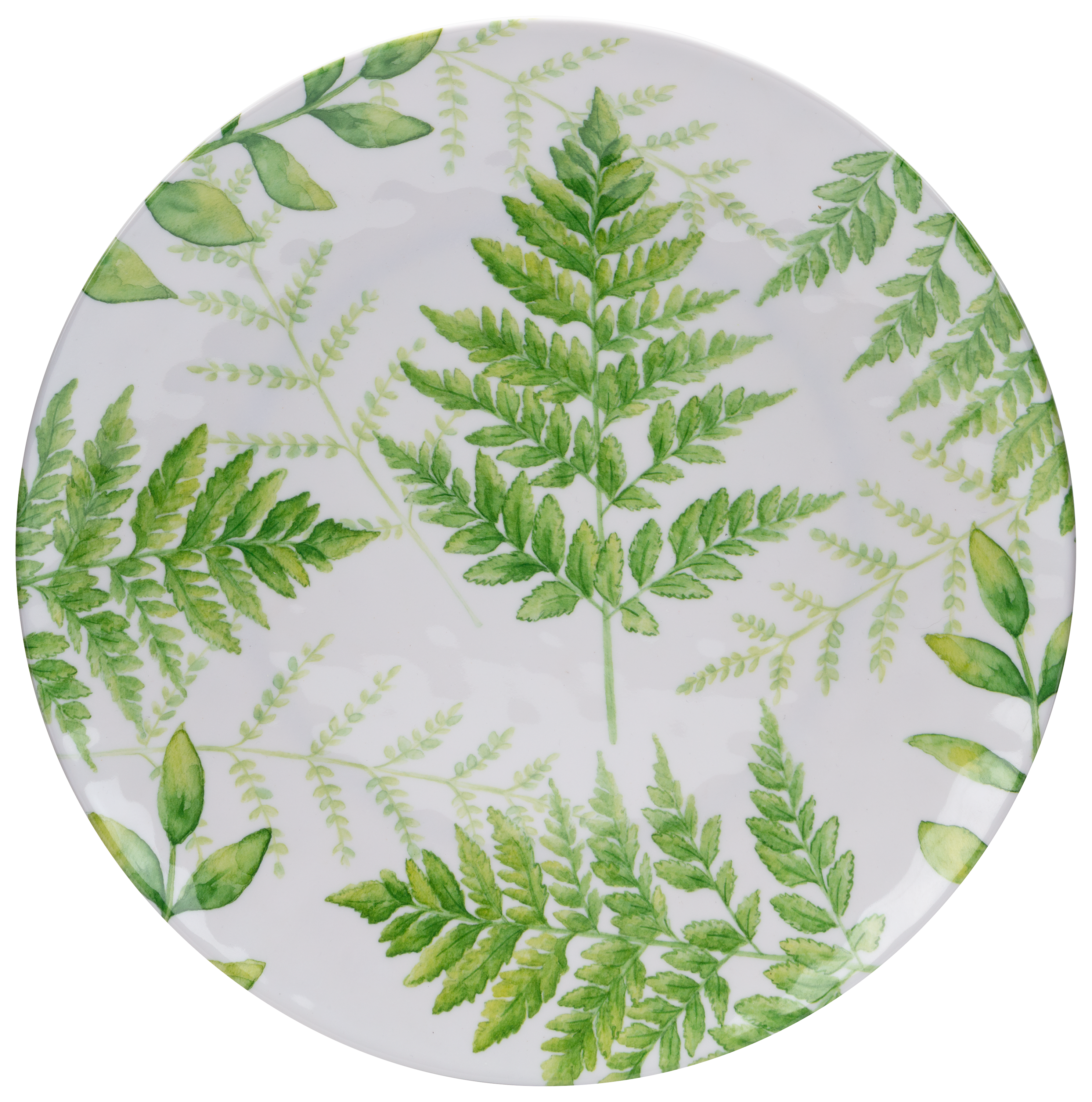 White River Home Botanical 4-Piece Melamine Dinner Plate Set