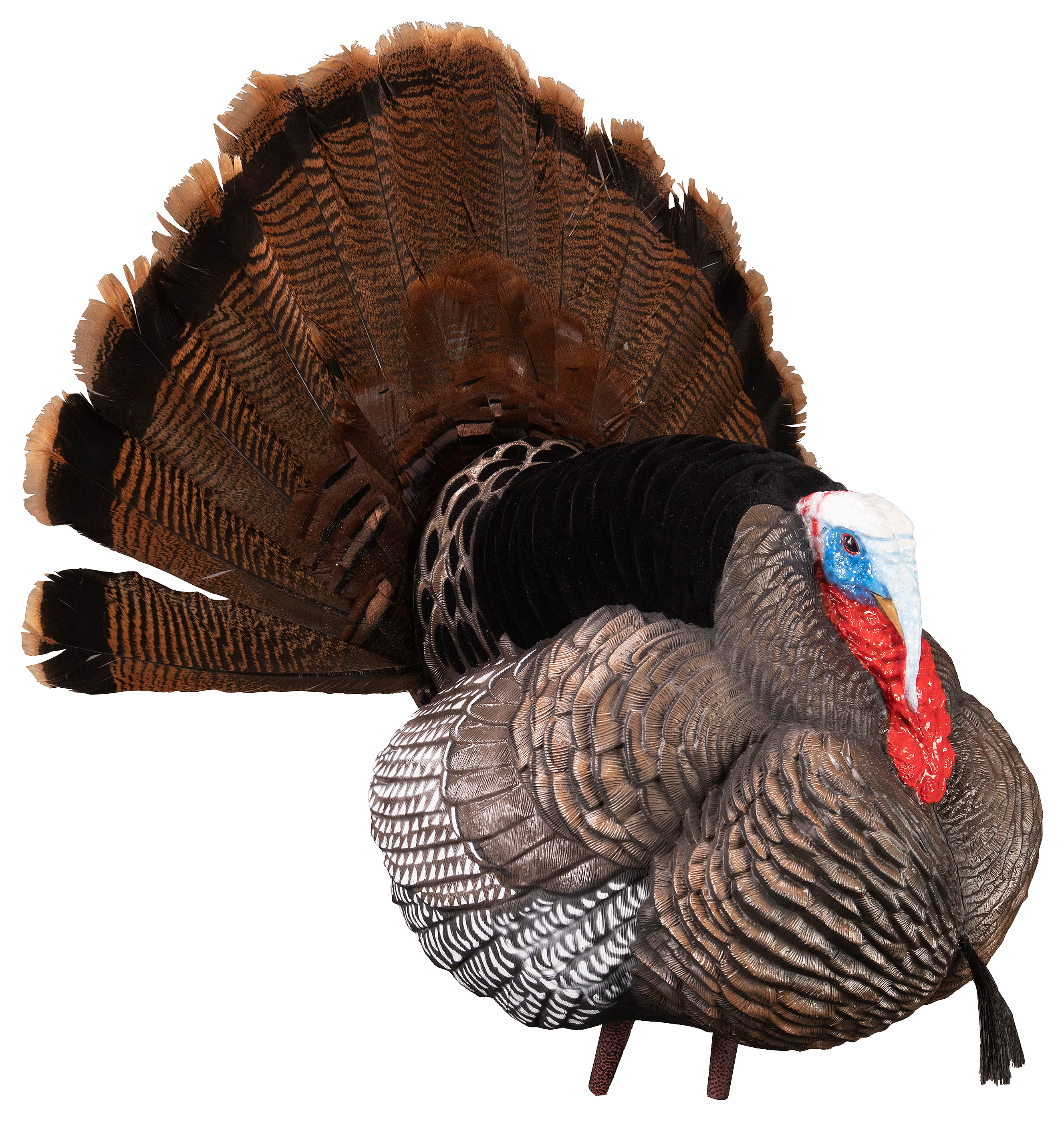 Higdon Outdoors Apex Strutter Hard Body Turkey Decoy