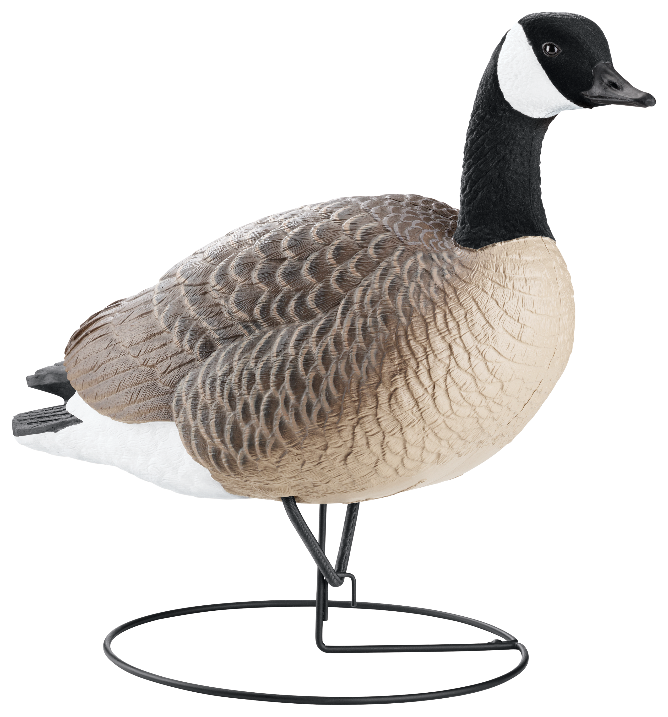 Northern Flight Full-Body Canada Goose Decoys - Northern Flight