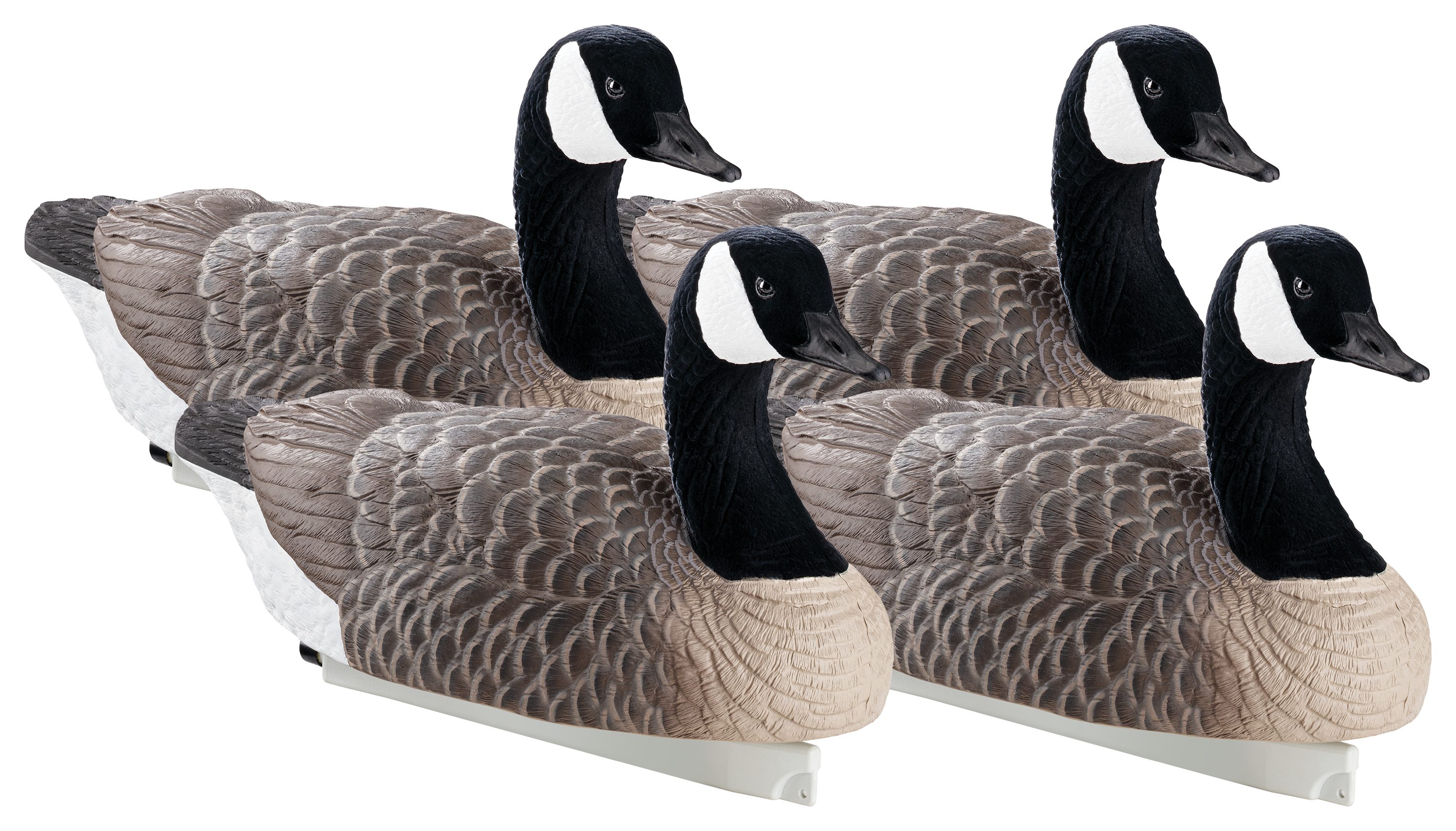 Northern Flight Floater Canada Goose Decoys - Northern Flight