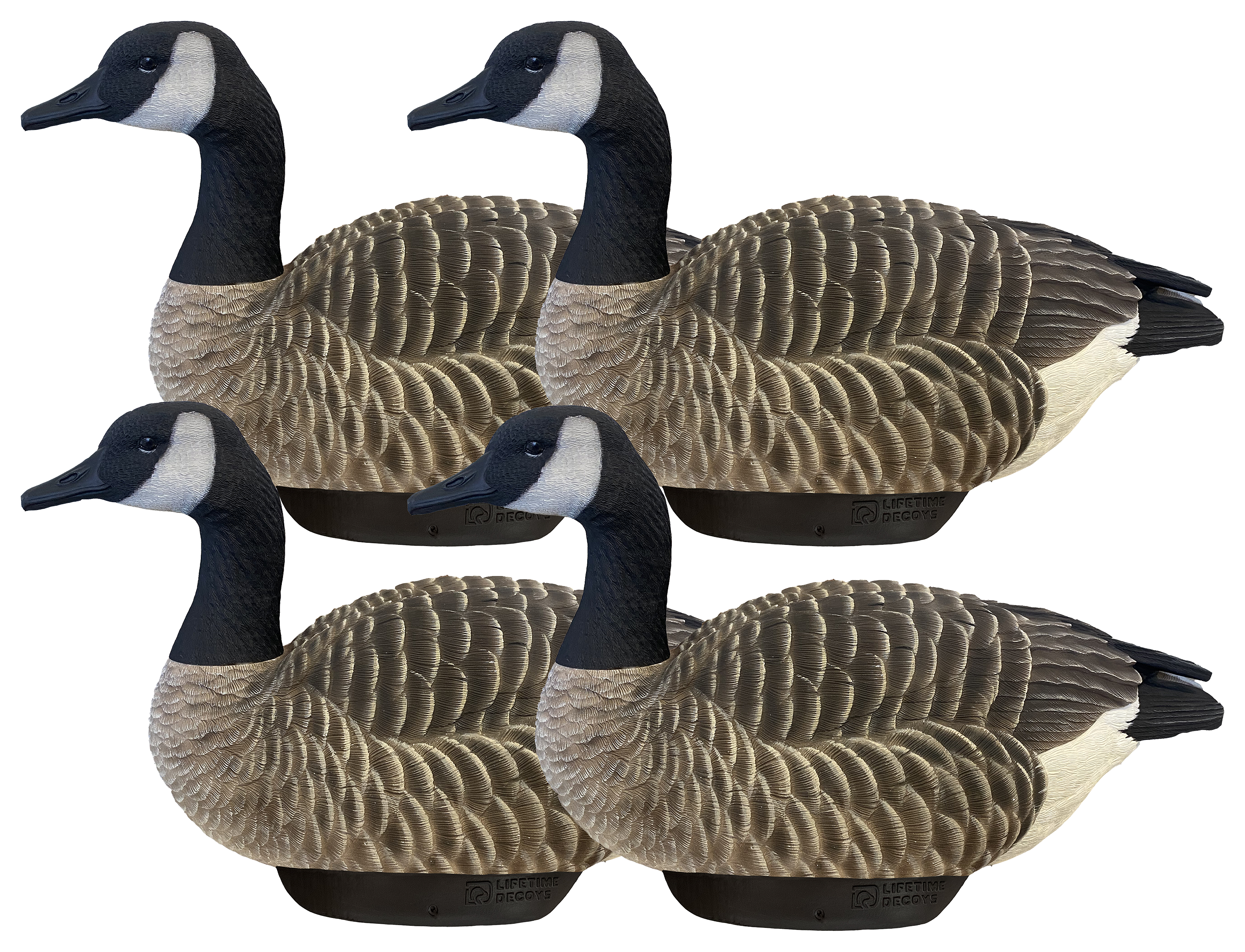 HEYDAY HydroFoam Canada Goose Decoys 4 Pack