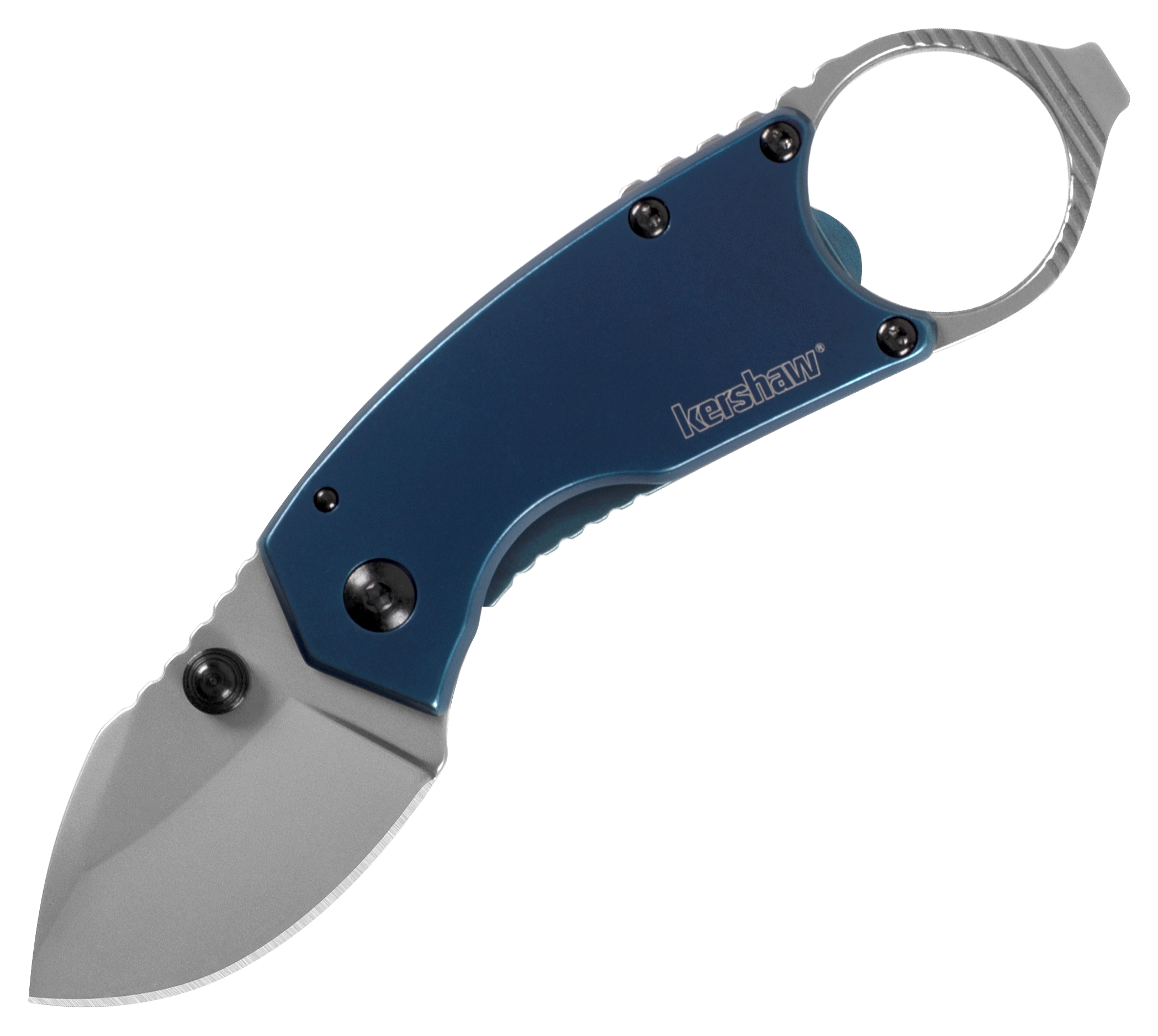 Kershaw Antic Folding Knife - Kershaw