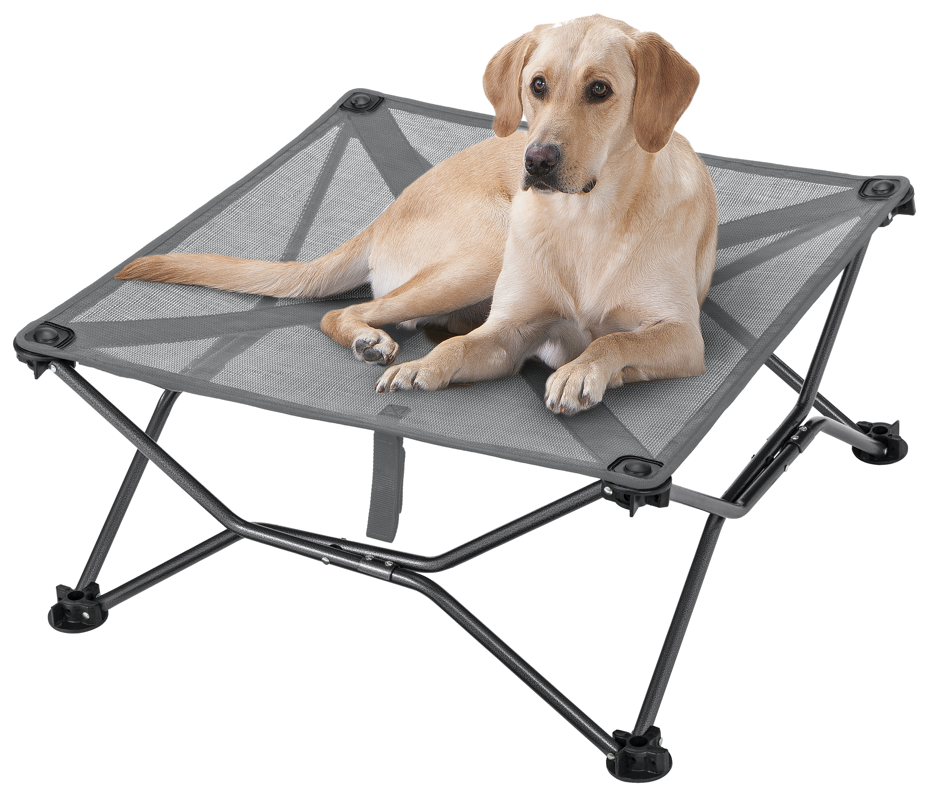 Cabela's Elevated Dog Cot - Gray - 38' x 38' - Cabela's