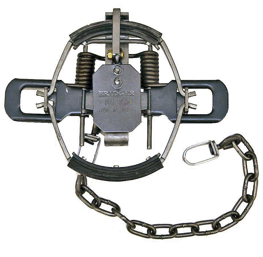 Bridger #1.65 Fox Rubber-Jaw Coil-Spring Trap - Bridger