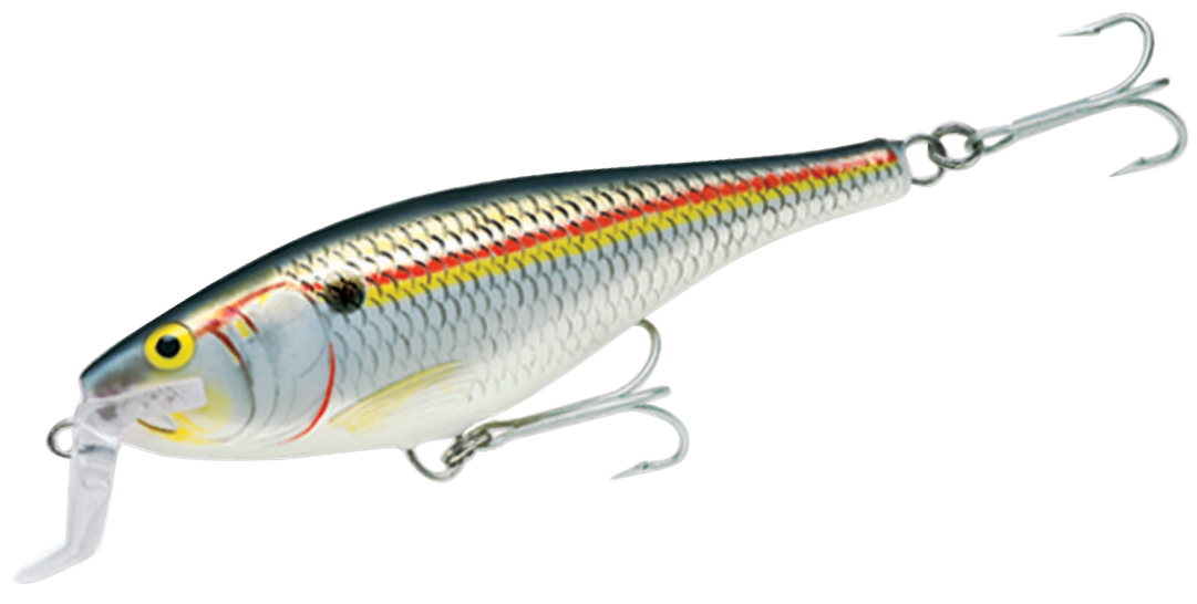 Image of Rapala Super Shad Rap - 5-1/2″ - Shad