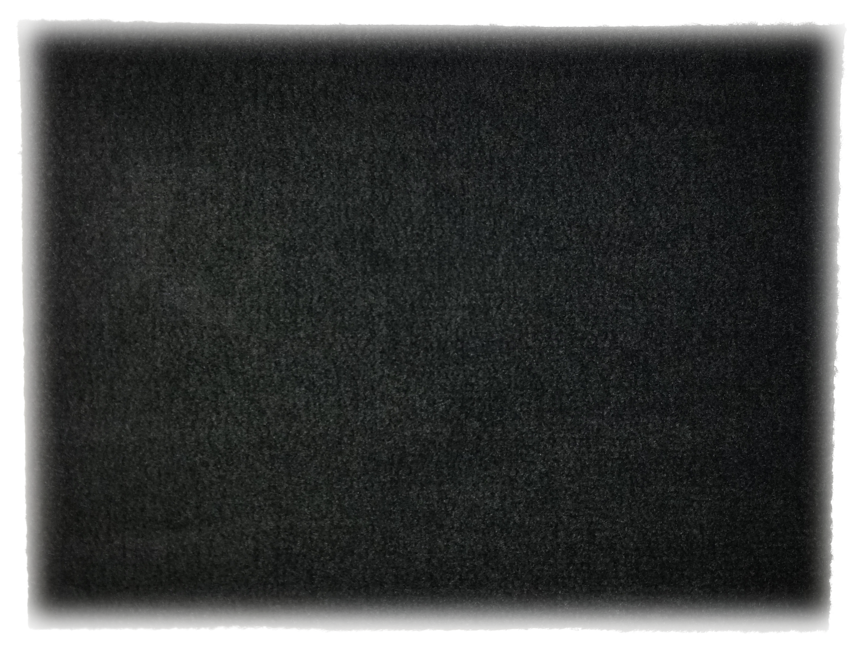 Image of Dorsett Bunk Carpet - Black - 12″ x 100'