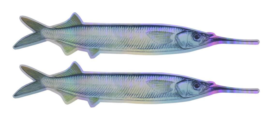 Fish Razr Fish Razr Stripz Replacement - 5' - Ballyhoo - $17.99 at Cabela's Program