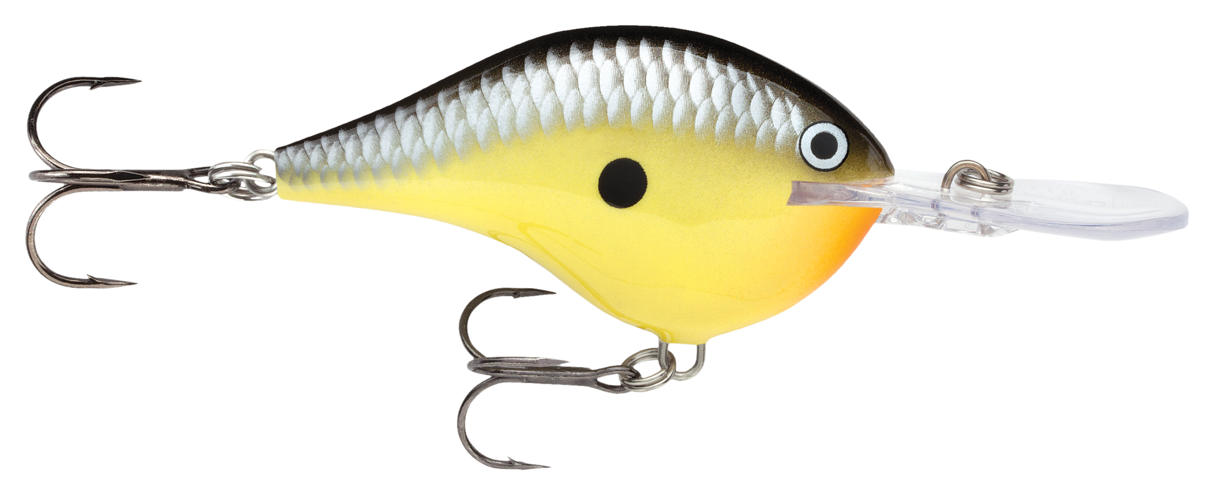 Image of Rapala DT Dives-To Series Crankbait - Old School - 2″ - 3/8 oz. - 8'