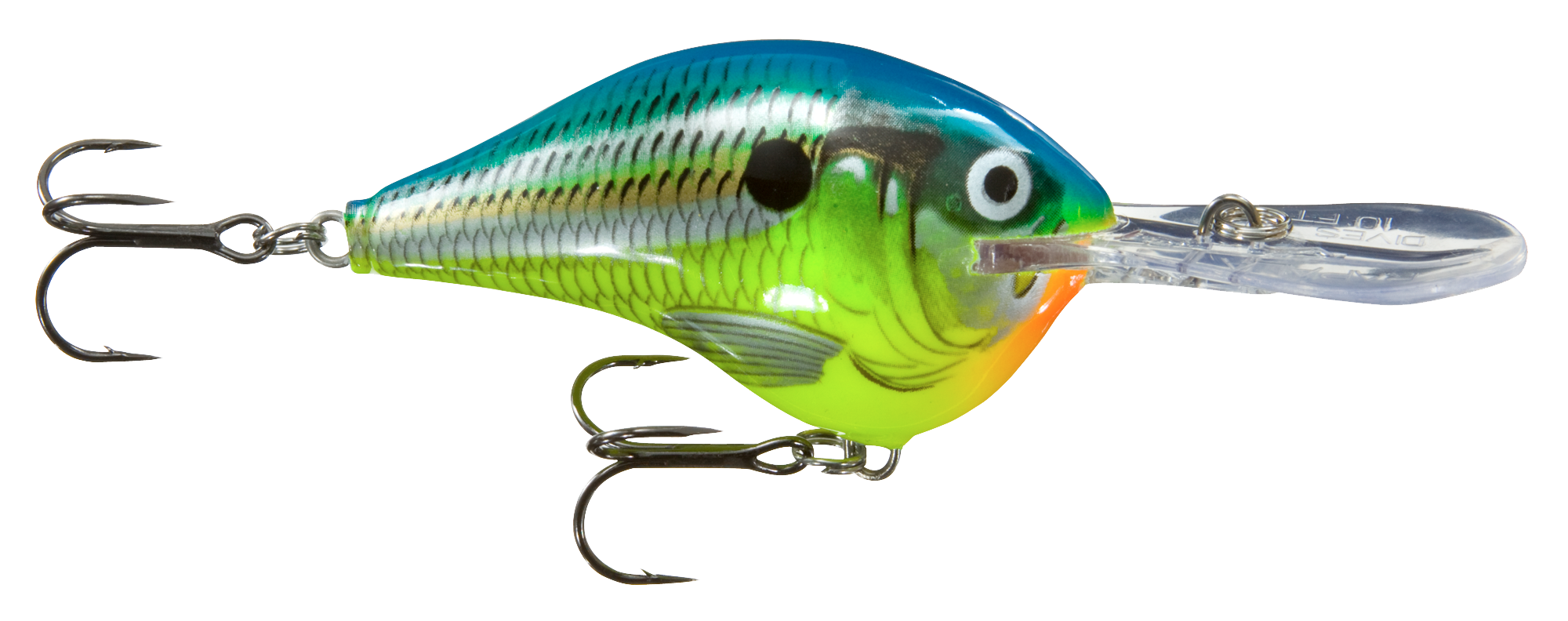 Image of Rapala DT Dives-To Series Crankbait - Parrot - 2″ - 3/8 oz. - 8'