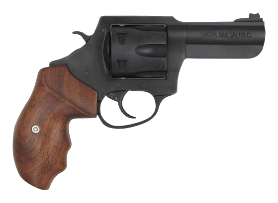 Charter Arms The Professional III DASA Revolver
