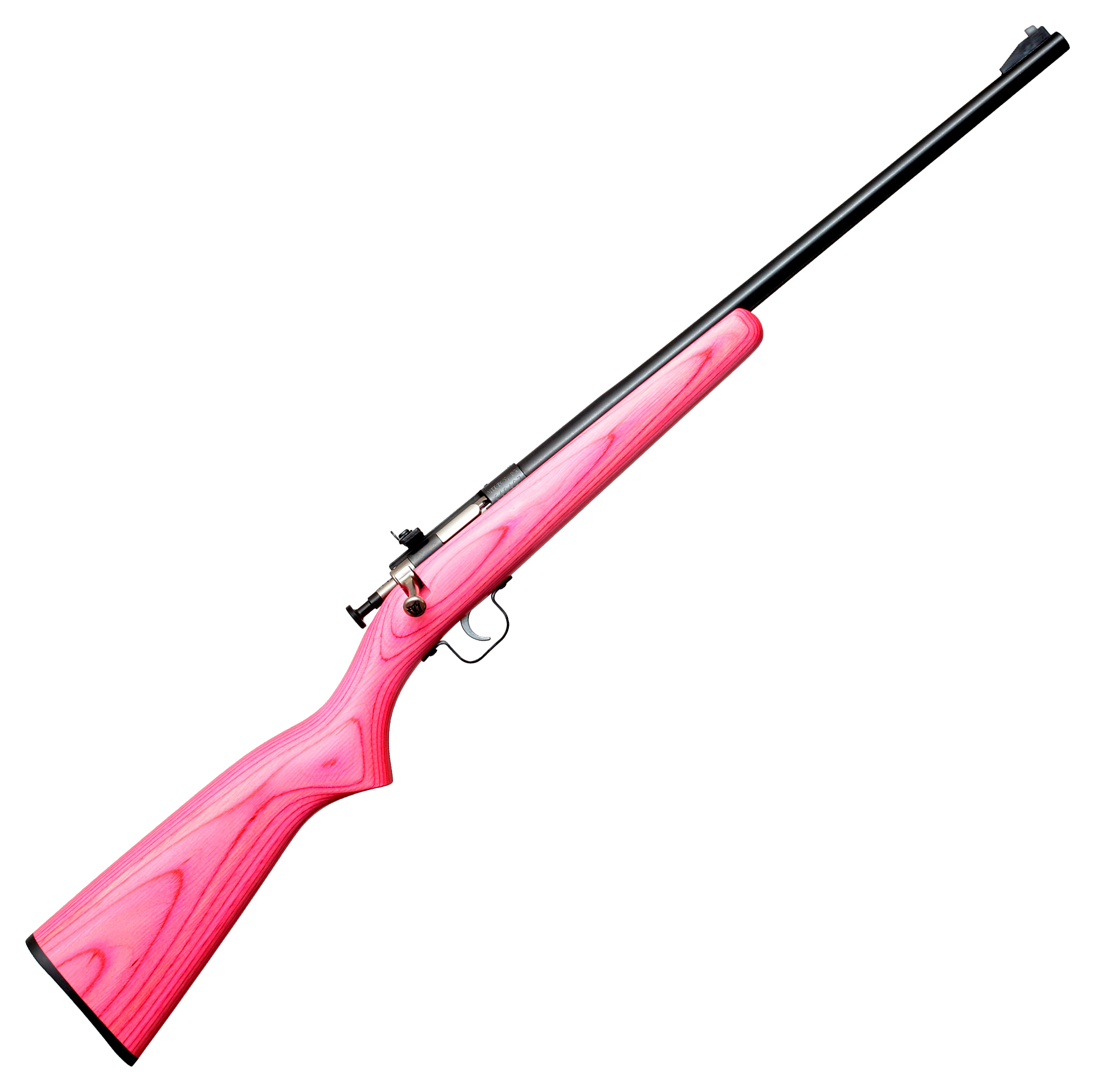 Keystone Sporting Arms Crickett SingleShot Rimfire Rifle with Laminate Stock  22 Long Rifle  Blued  Pink Laminate