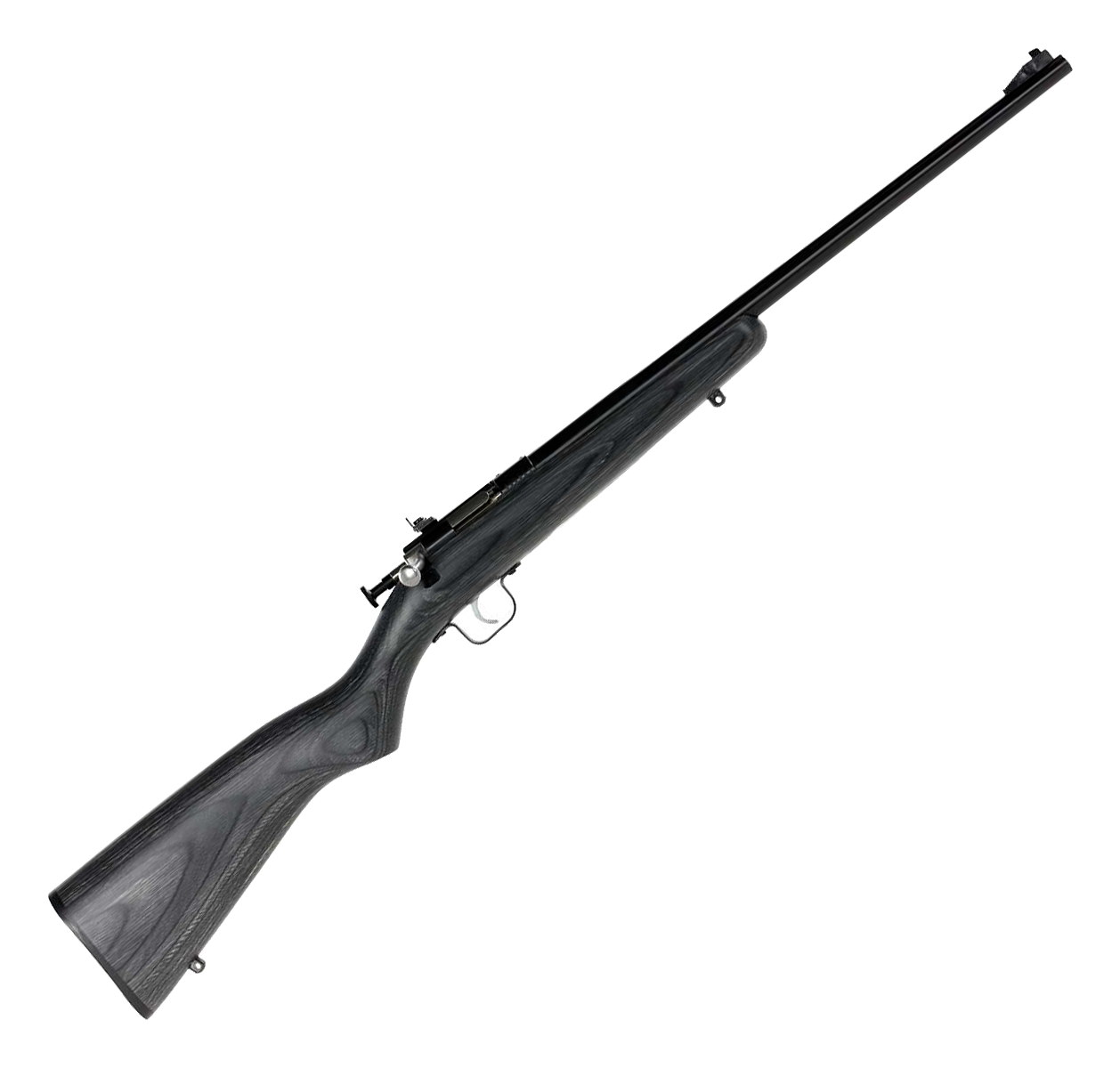 Keystone Sporting Arms Crickett SingleShot Rimfire Rifle with Laminate Stock  22 Long Rifle  Blued  Black Laminate