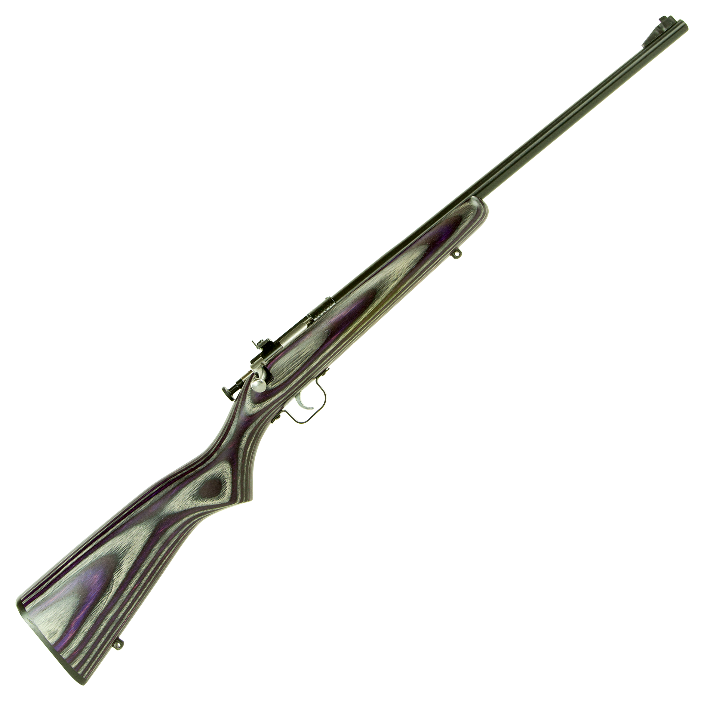 Keystone Sporting Arms Crickett SingleShot Rimfire Rifle with Laminate Stock  22 Long Rifle  Blued  Purple Laminate