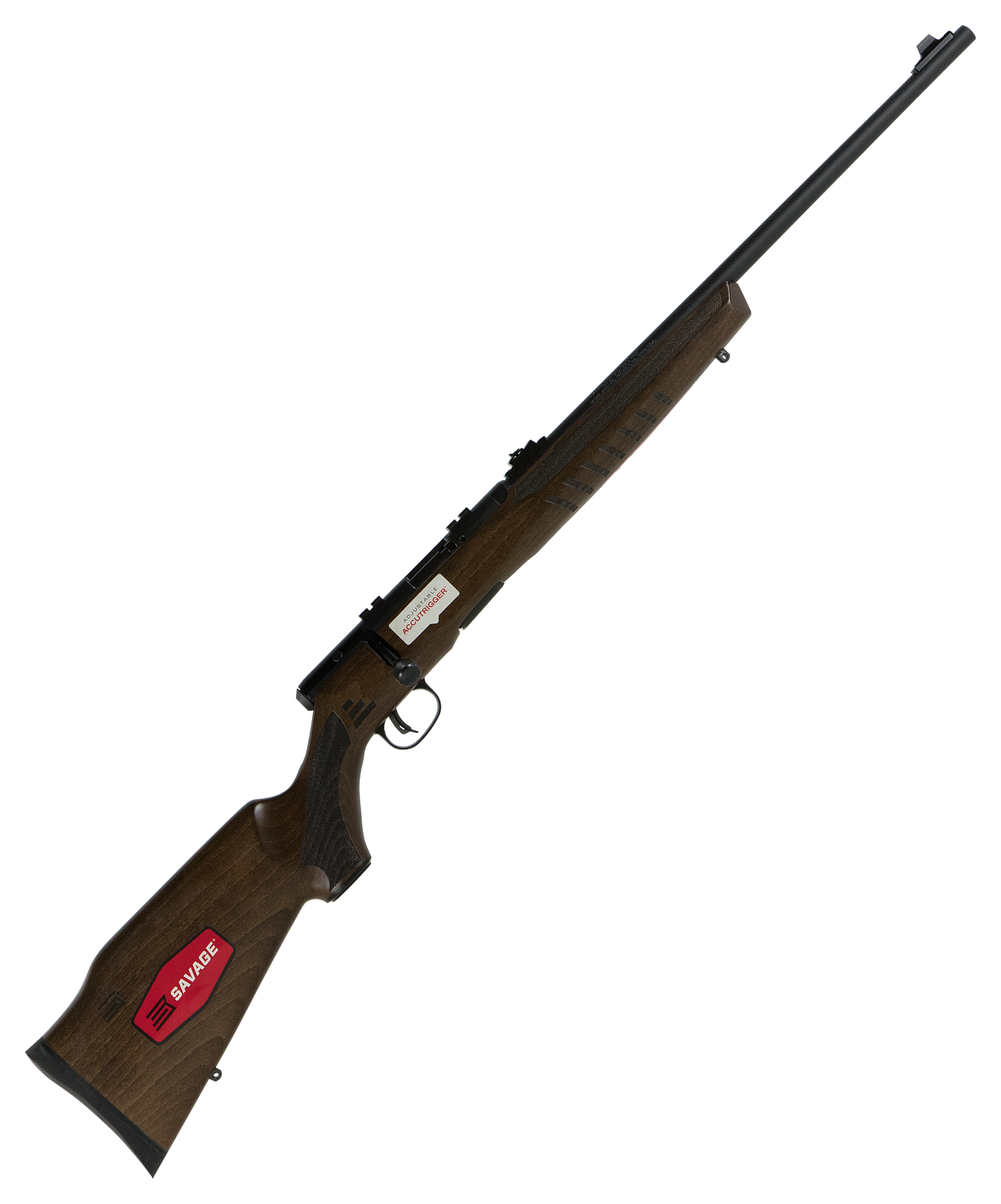 Savage Arms B17 G Rimfire BoltAction Rifle