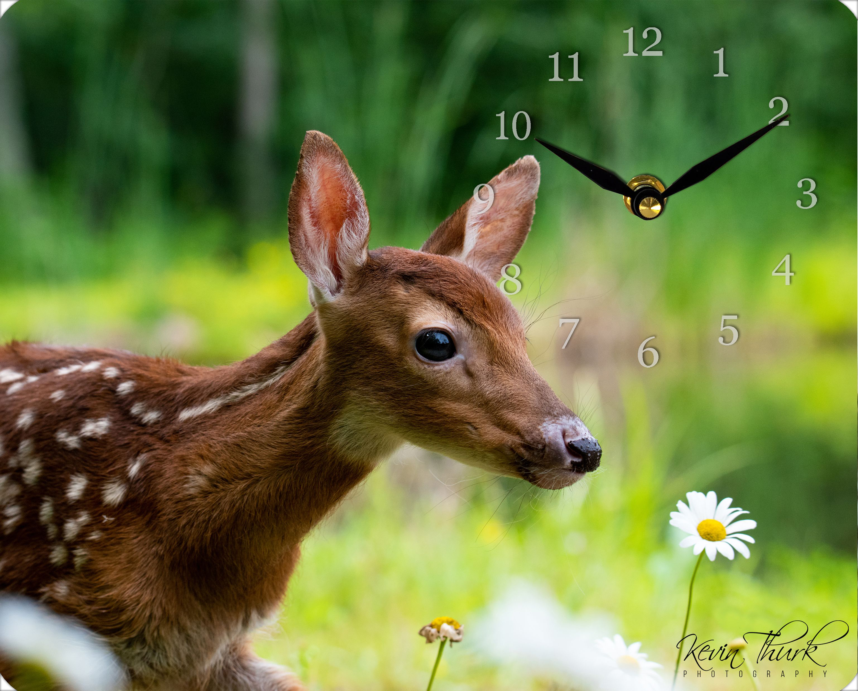 Print & Frame Fawn by Kevin Thurk Metal Clock