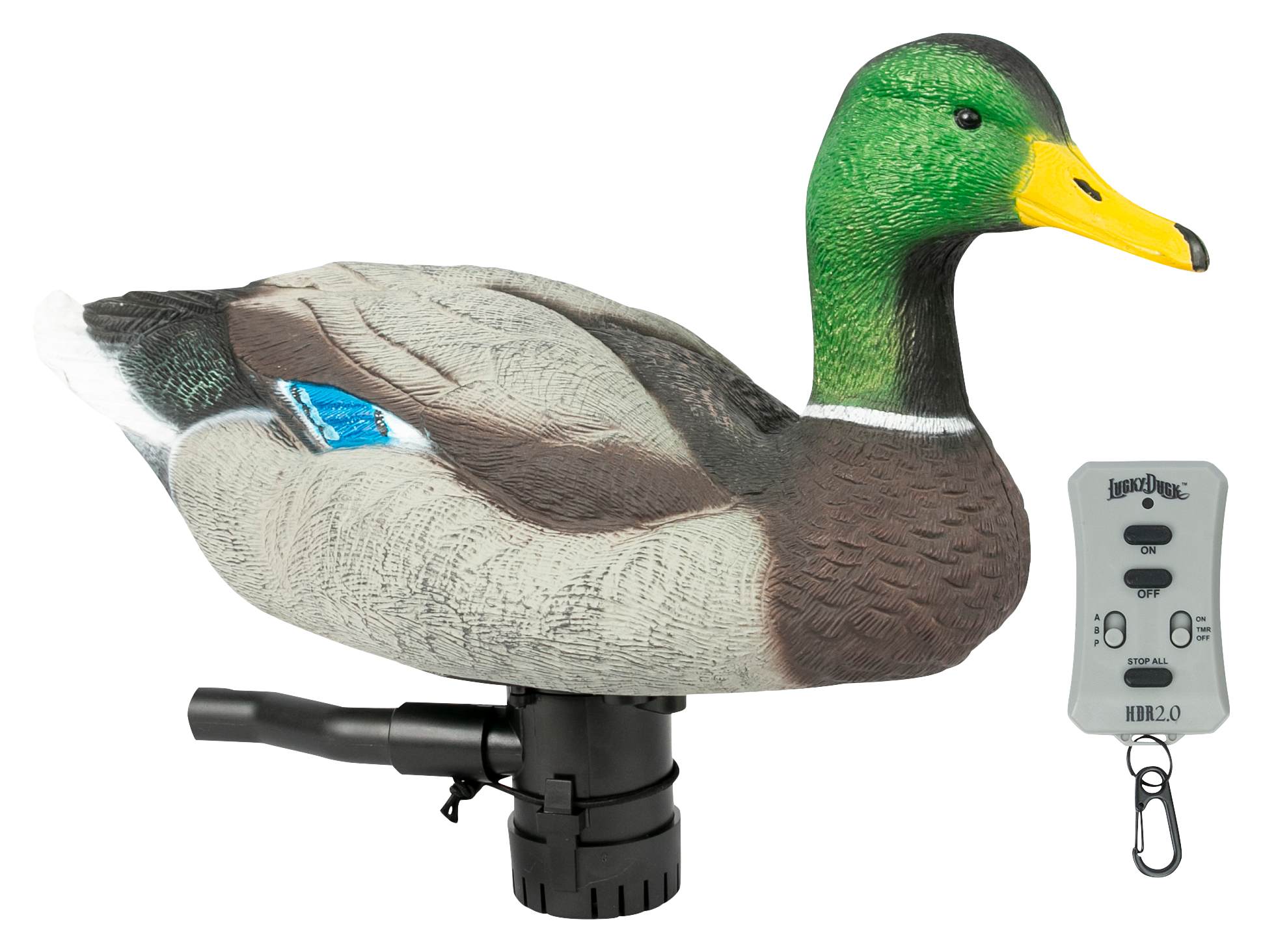 Lucky Duck Lucky Duck Super Swimmer HDi Mallard Motorized Duck Decoy with Remote Kit - $149.98 at Cabela's Program