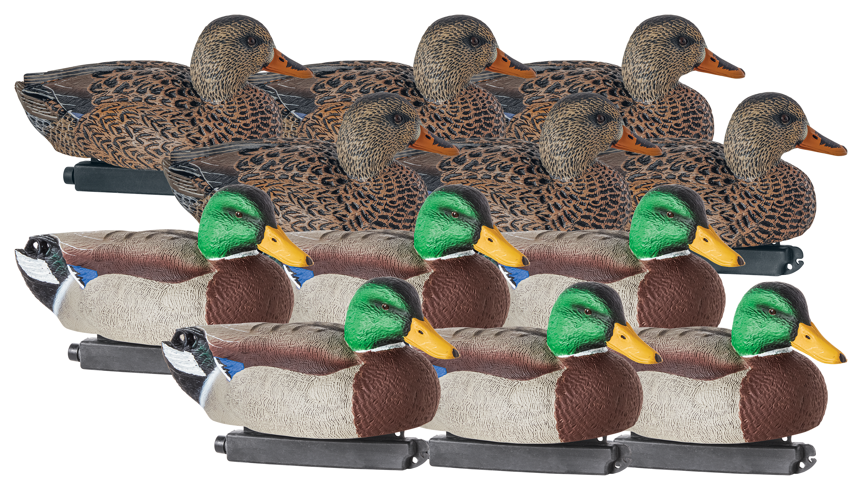 Northern Flight Big Spread Life-Size Mallard Duck Decoys - Northern Flight