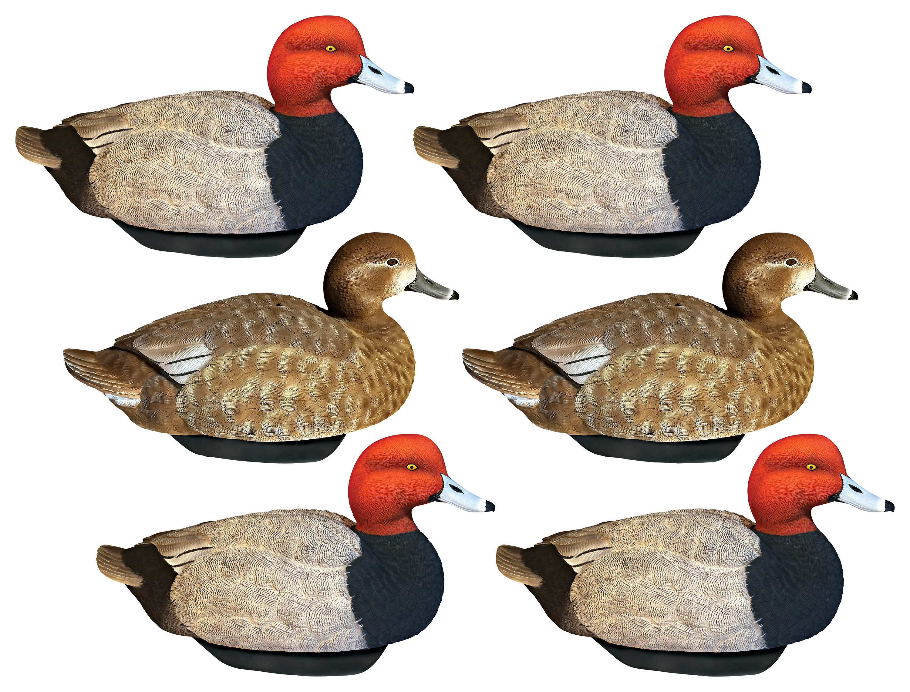 HEYDAY HyrdoFoam Redhead Duck Decoys 6 Pack
