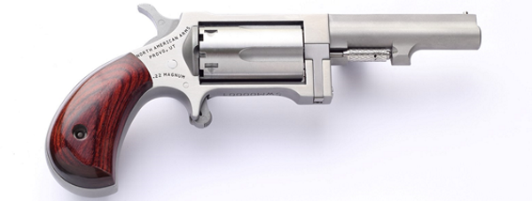North American Arms Sidewinder Conversion SingleAction Revolver