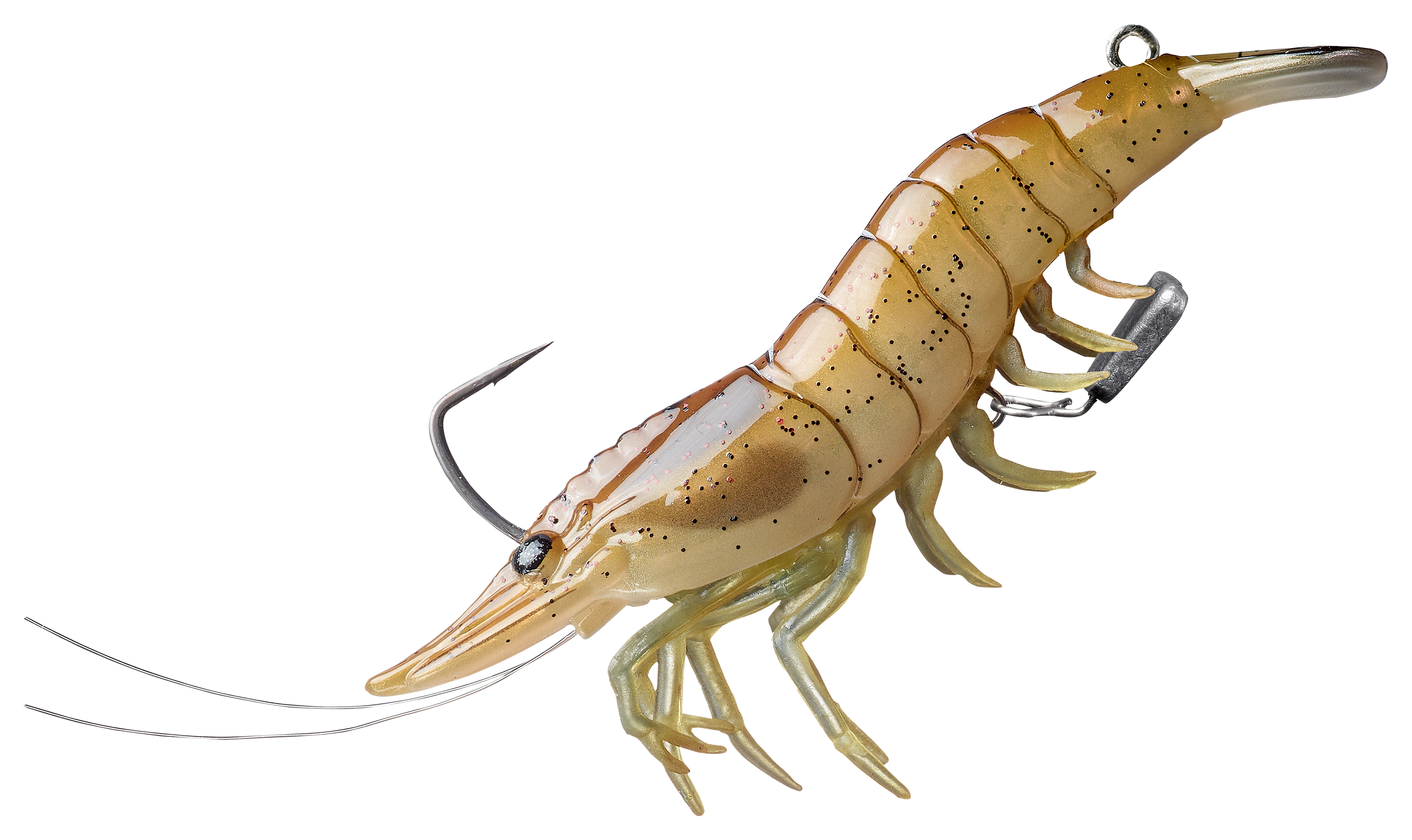 LIVETARGET Live Shrimp - 3' - Sand Shrimp
