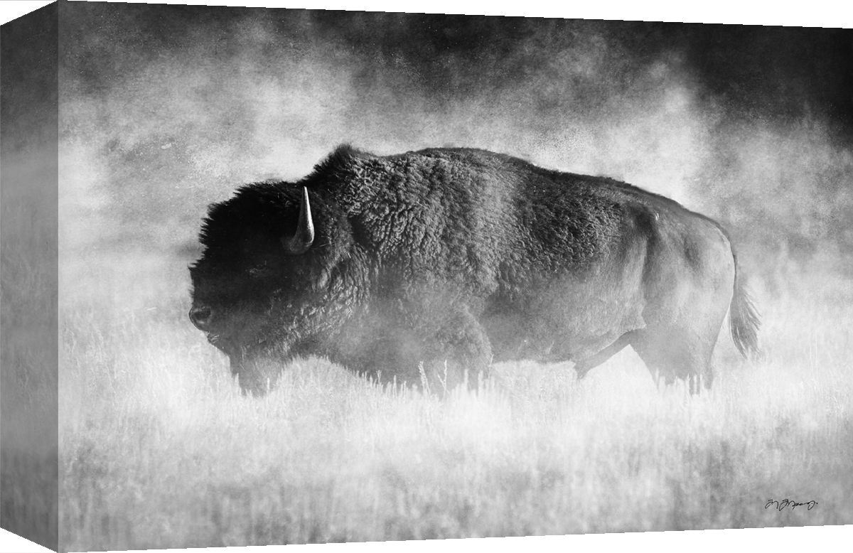 Image of Rocky Mountain Publishing Dusty Traveler Canvas Giclee by Mitch Mansanarez - 23″L x 2″W x 16″H