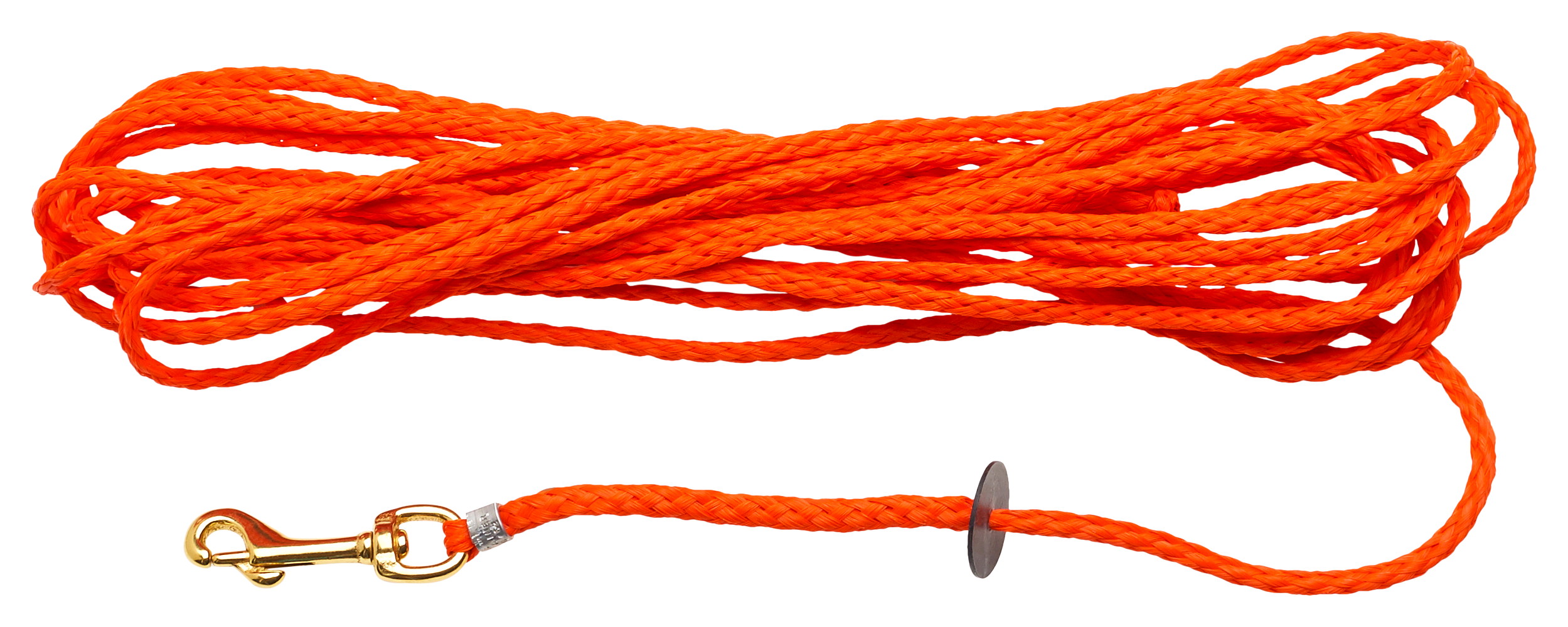 Dokkens Puppy Check Cord Dog Leash