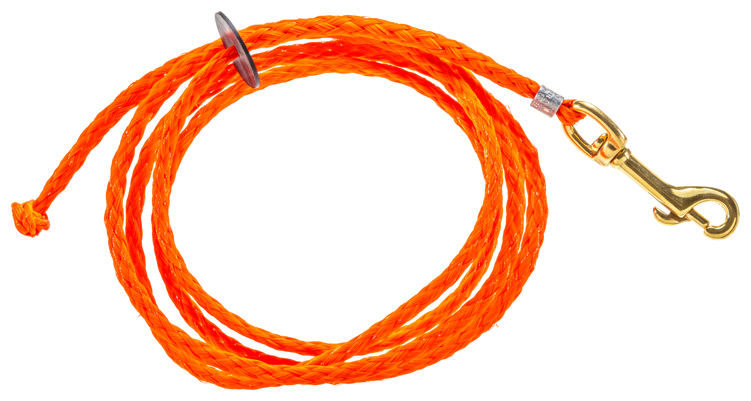 Dokkens 6 Puppy Leash