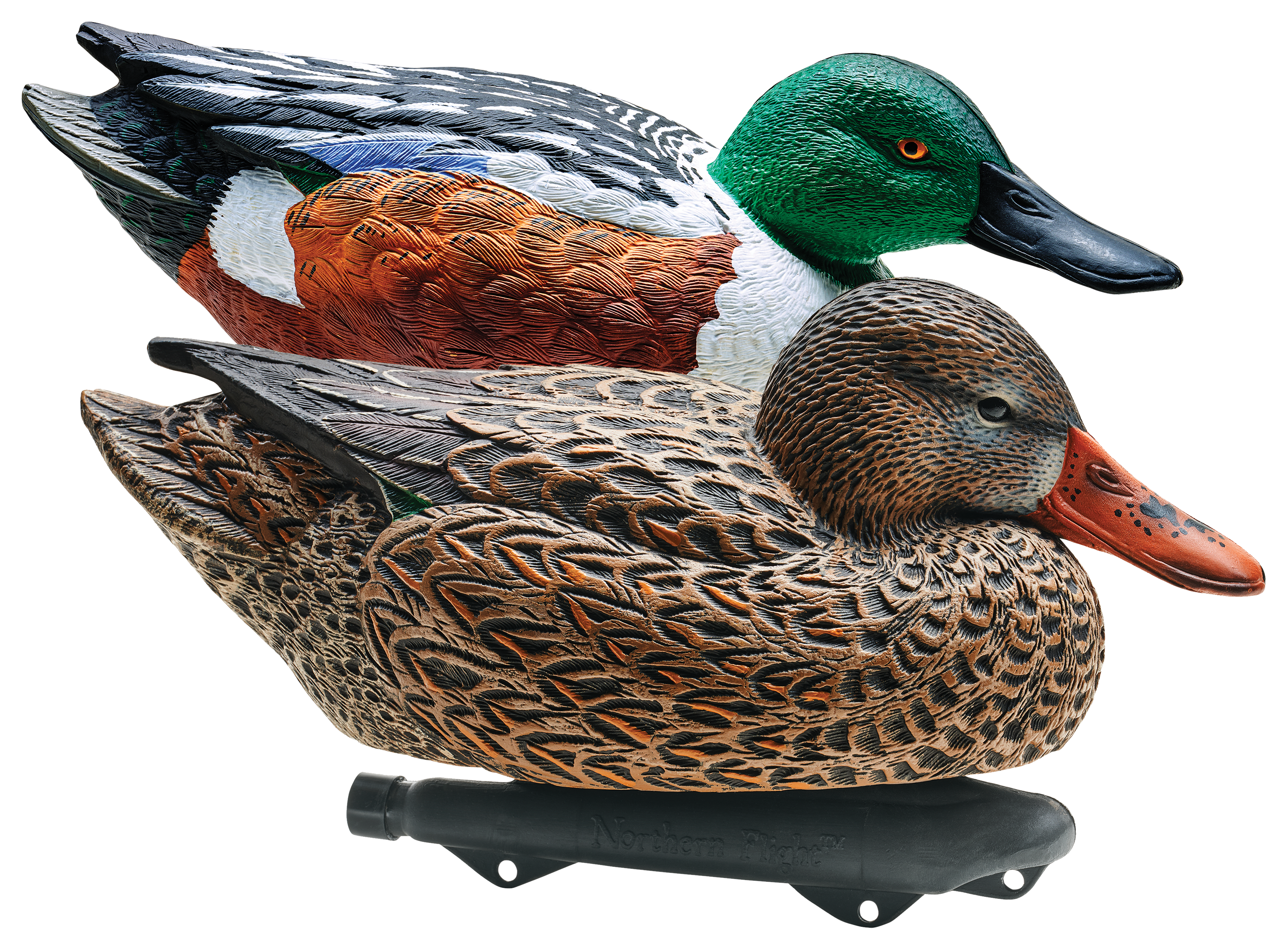 Northern Flight Shoveler Duck Decoys - Northern Flight