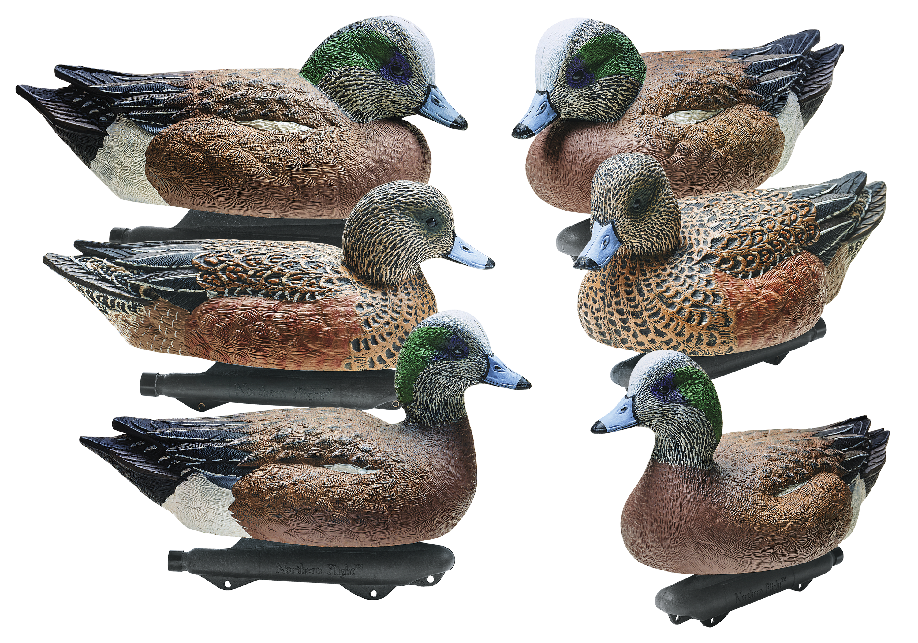 Northern Flight Wigeon Duck Decoys - Northern Flight