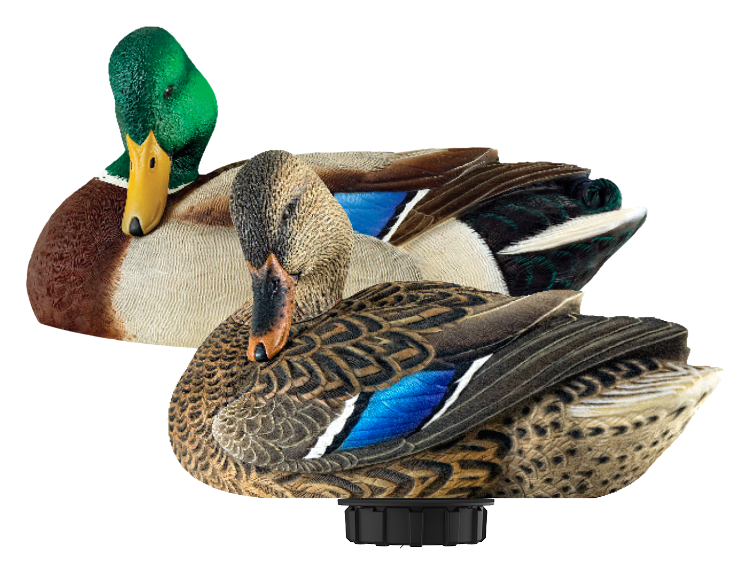 Avian-X Power Shaker Mallard Preener Motorized Duck Decoy Combo - Avian-X