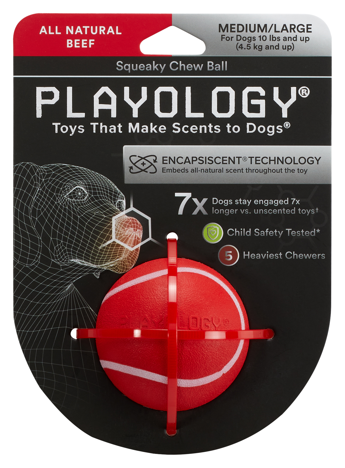 Playology Beef Squeaky Chew Ball for Dogs - Medium - Playology