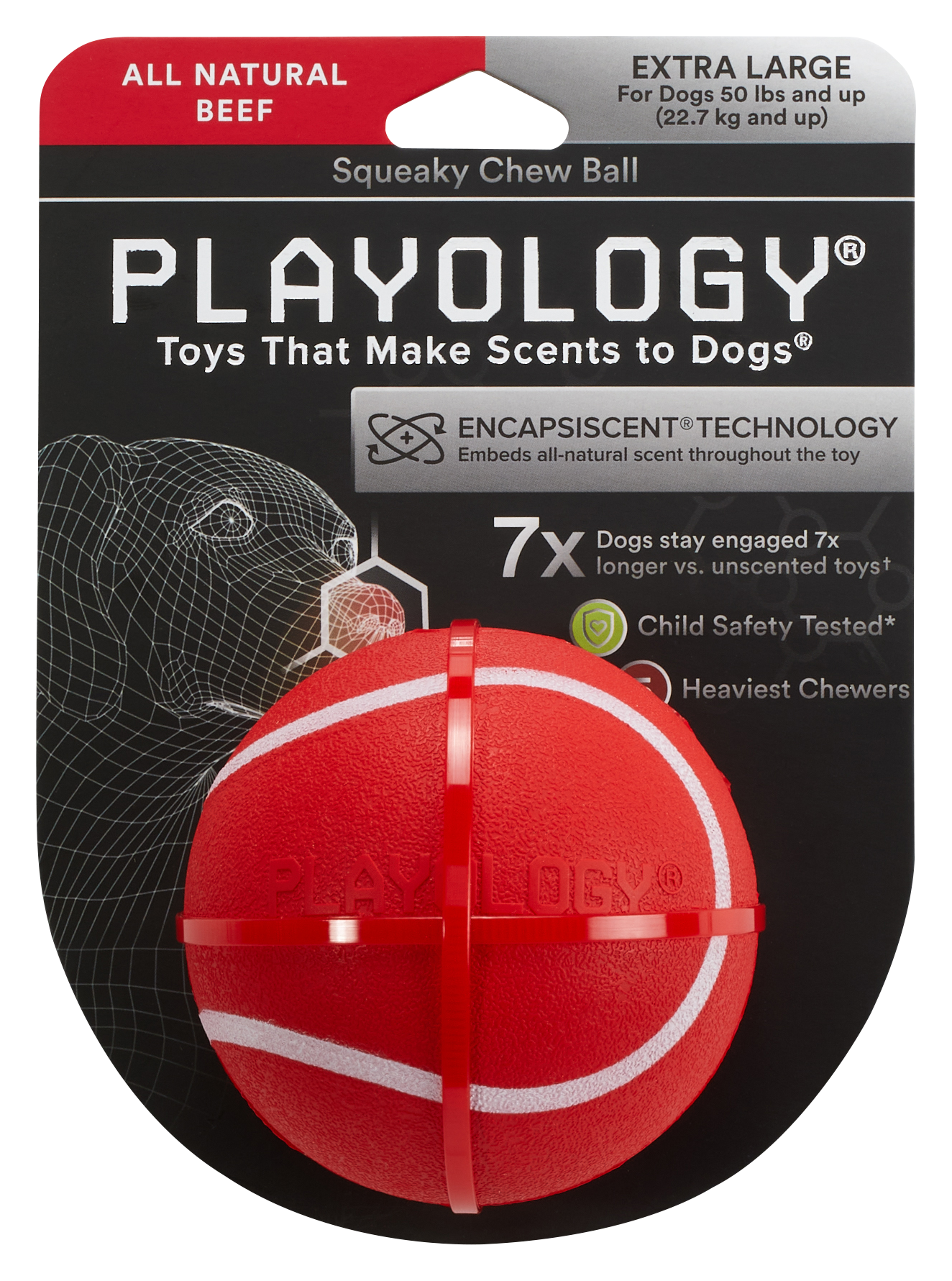 Playology Beef Squeaky Chew Ball for Dogs - Extra Large - Playology