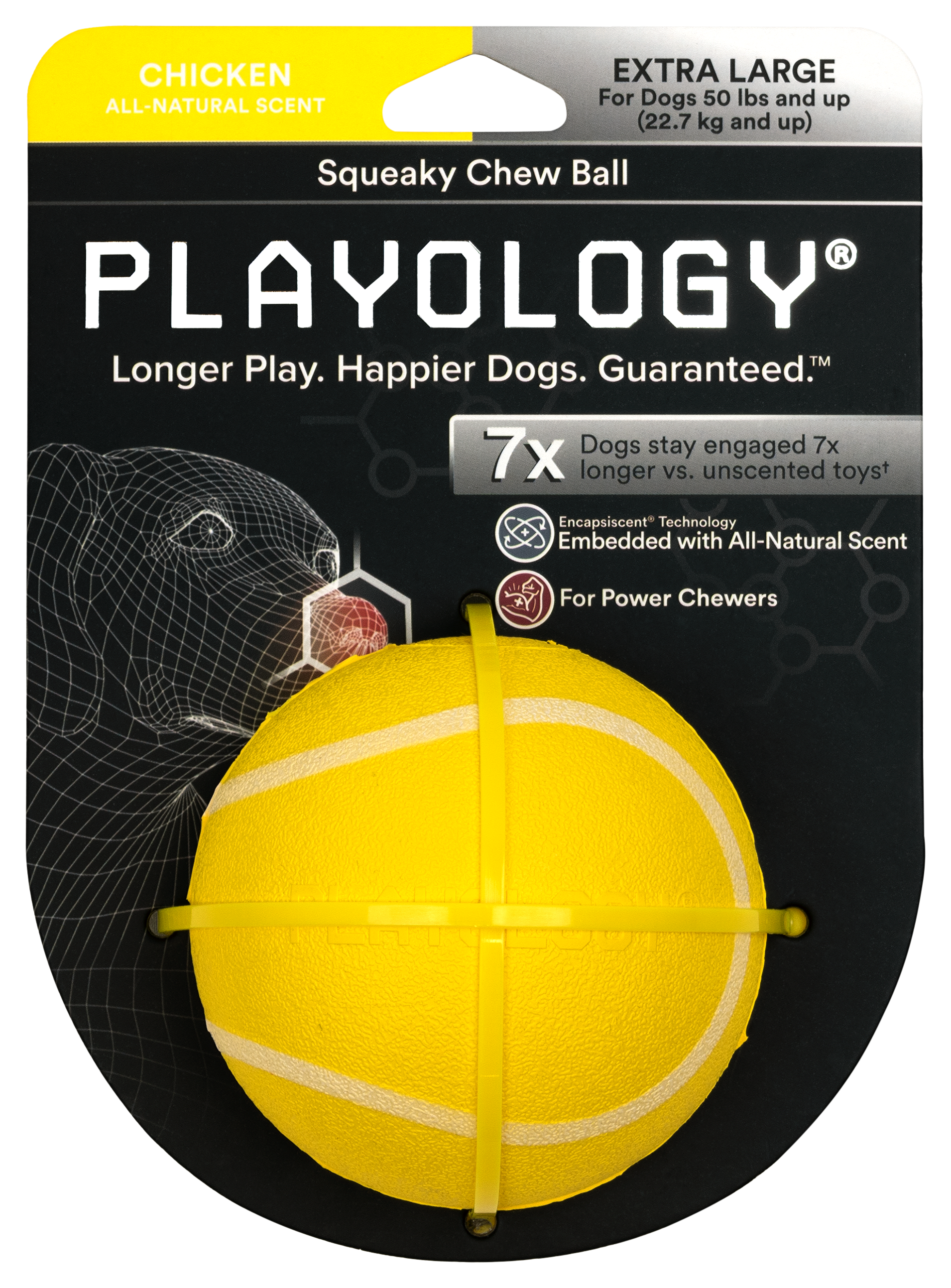 Playology Chicken Squeaky Chew Ball for Dogs - Extra Large - Playology