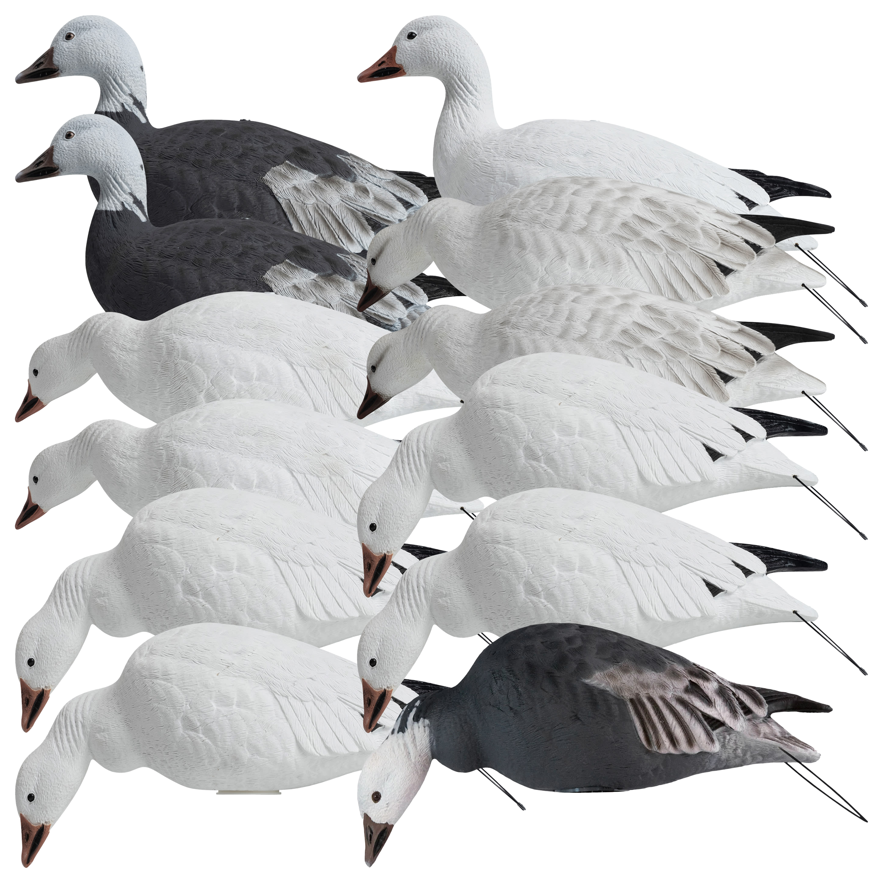 Hardcore Rugged Series Full-Body Snow and Blue Goose Touchdown Decoys - Hardcore