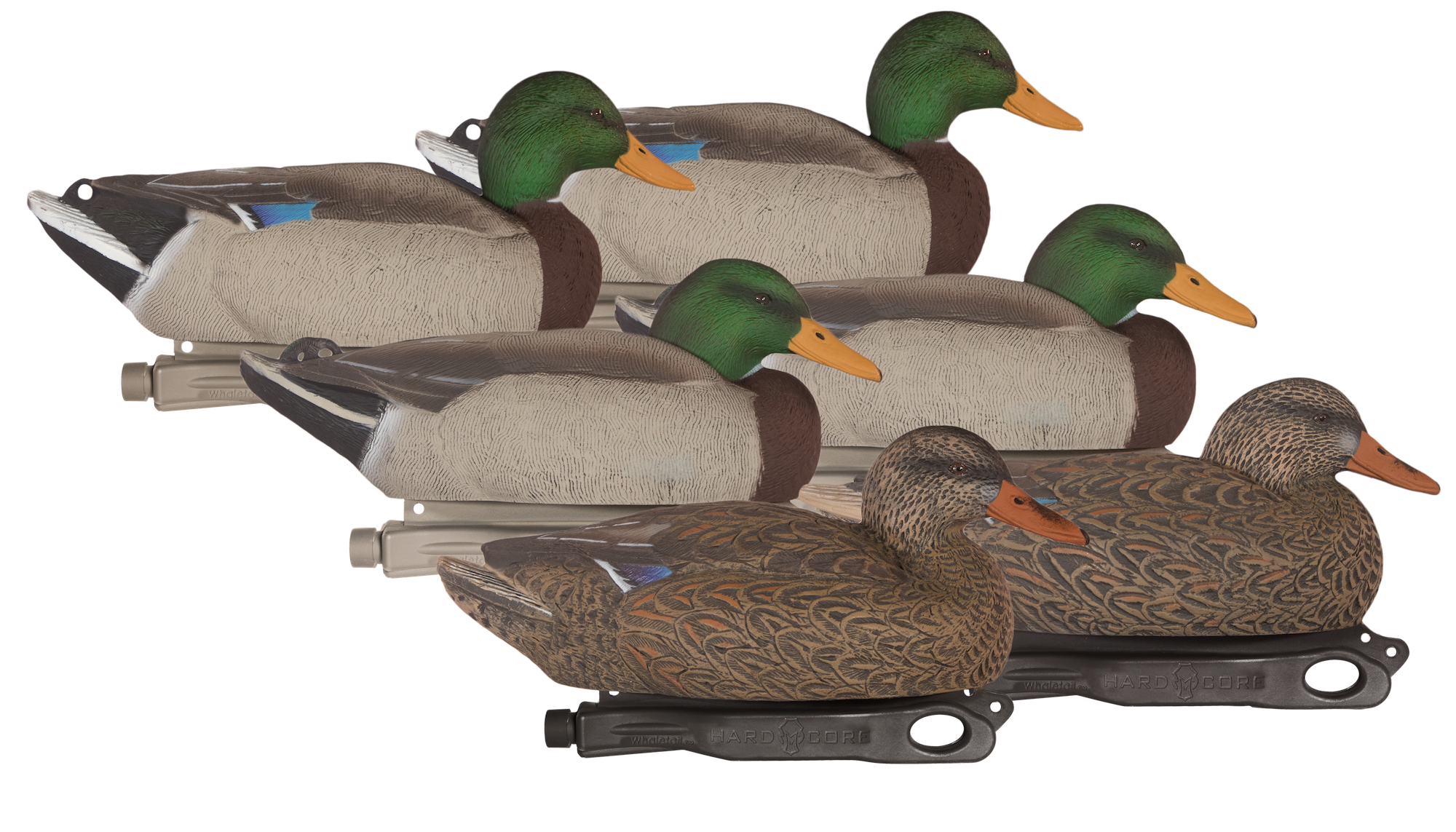 Hardcore Rugged Series Standard Mallard Duck Decoys - Hardcore