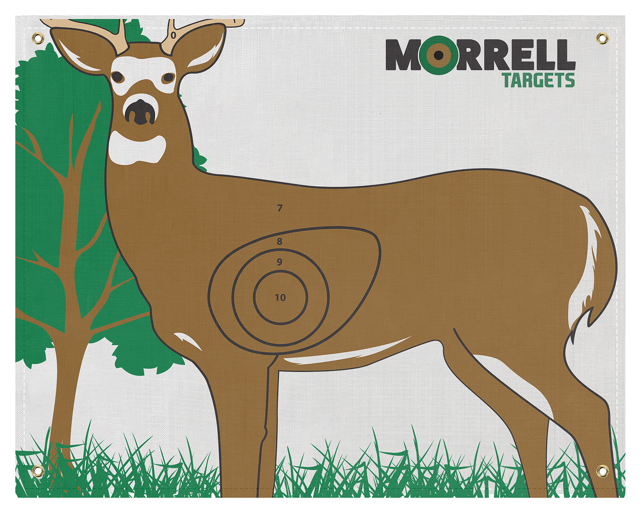 Morrell IBO/NASP Whitetail Deer Polypropylene Archery Target Face - Morrell