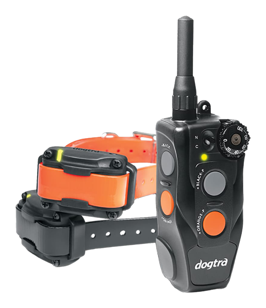 Dogtra 202C 2-Dog E-Collar Training System - Dogtra